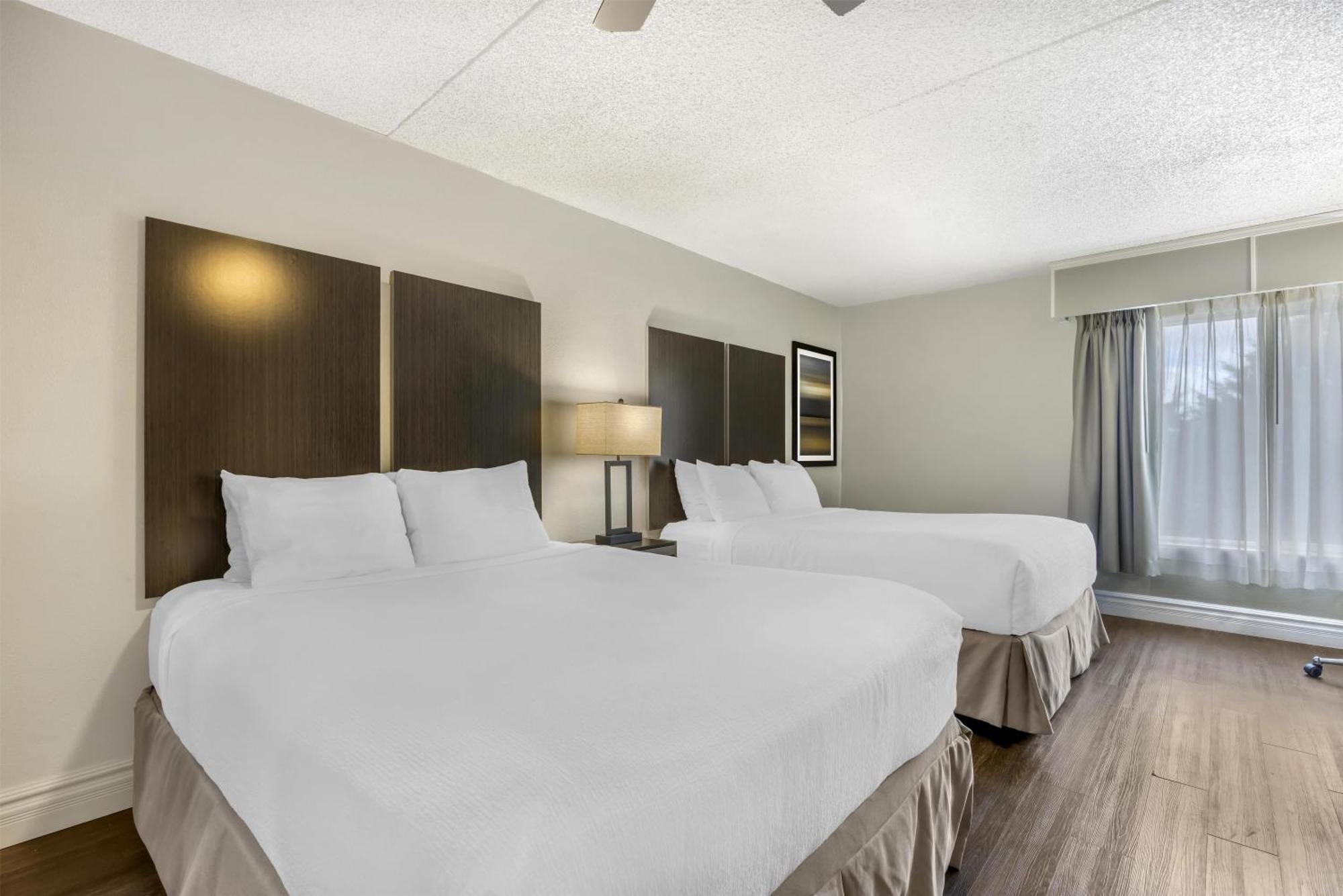 Non-Pet 2 Queen Beds
