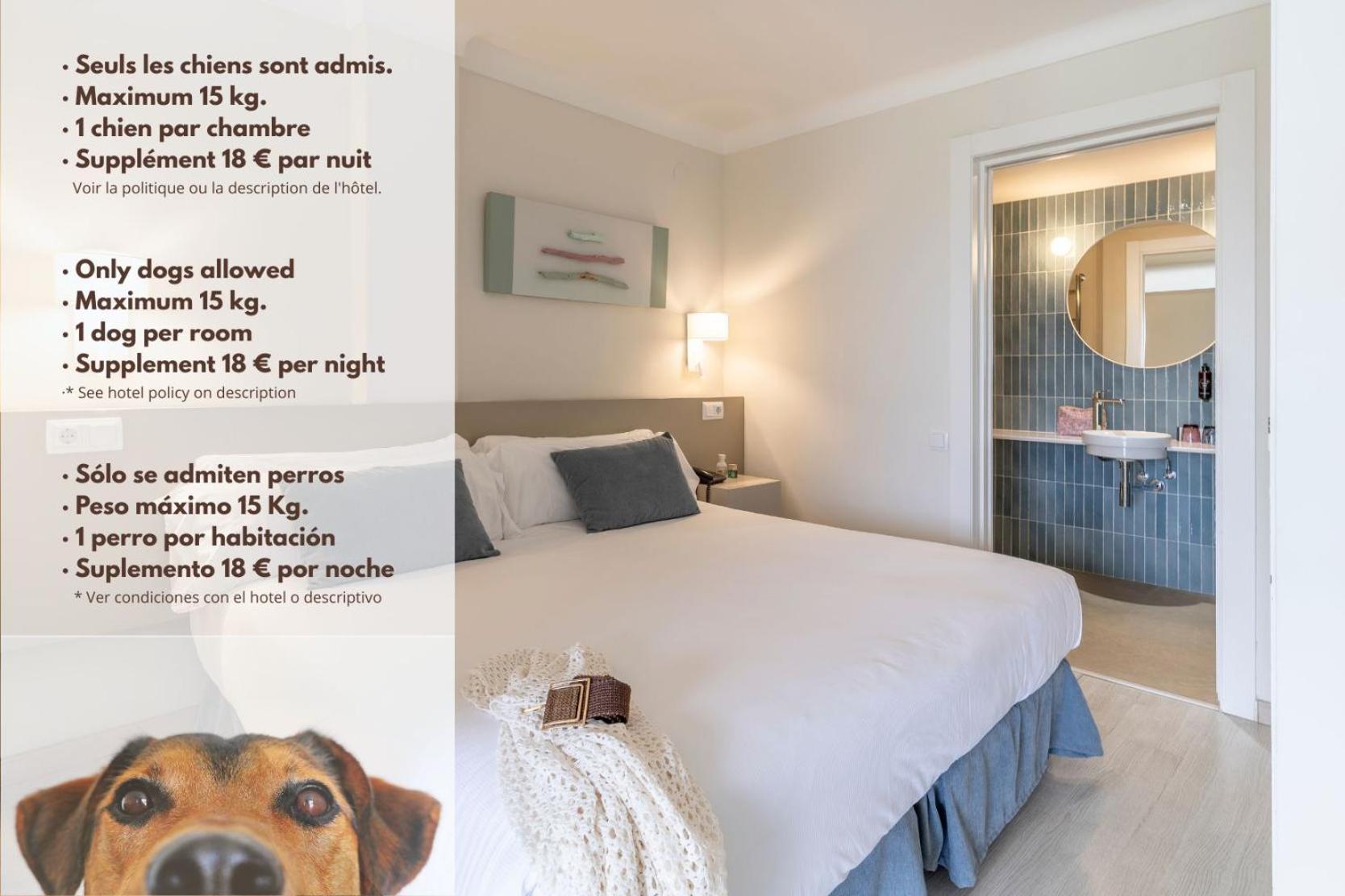 Double or Twin Room