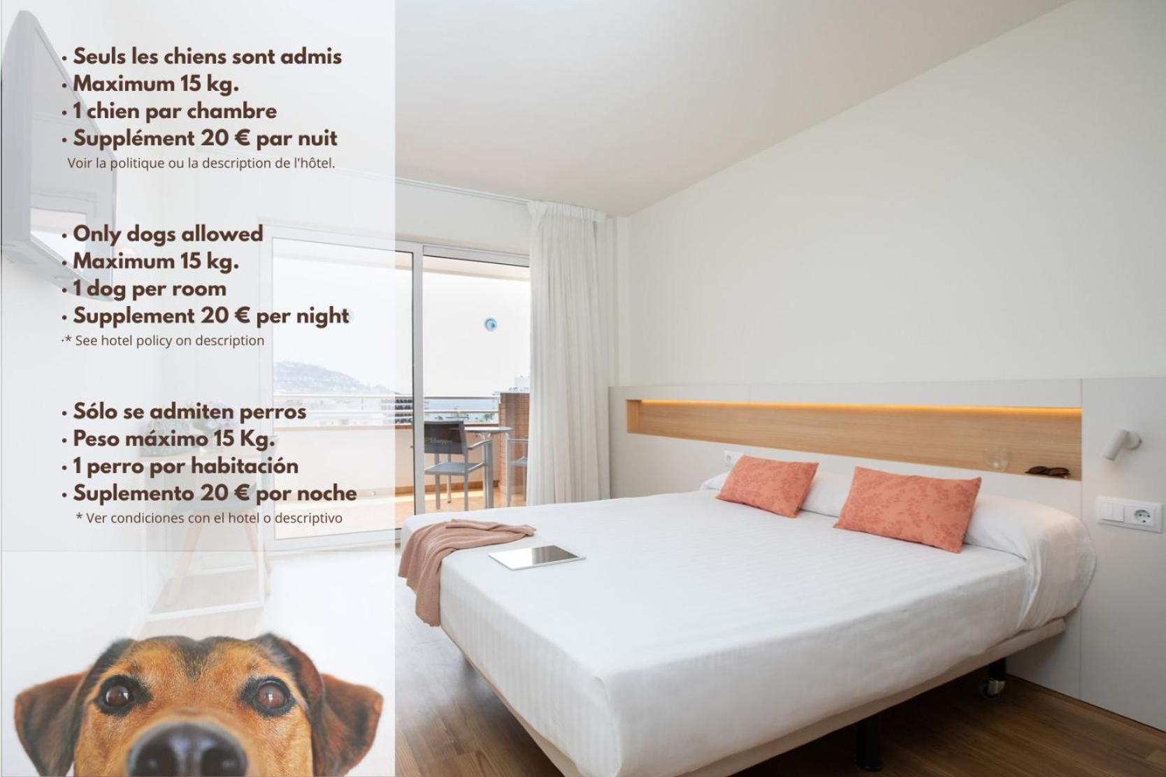 Double or Twin Room