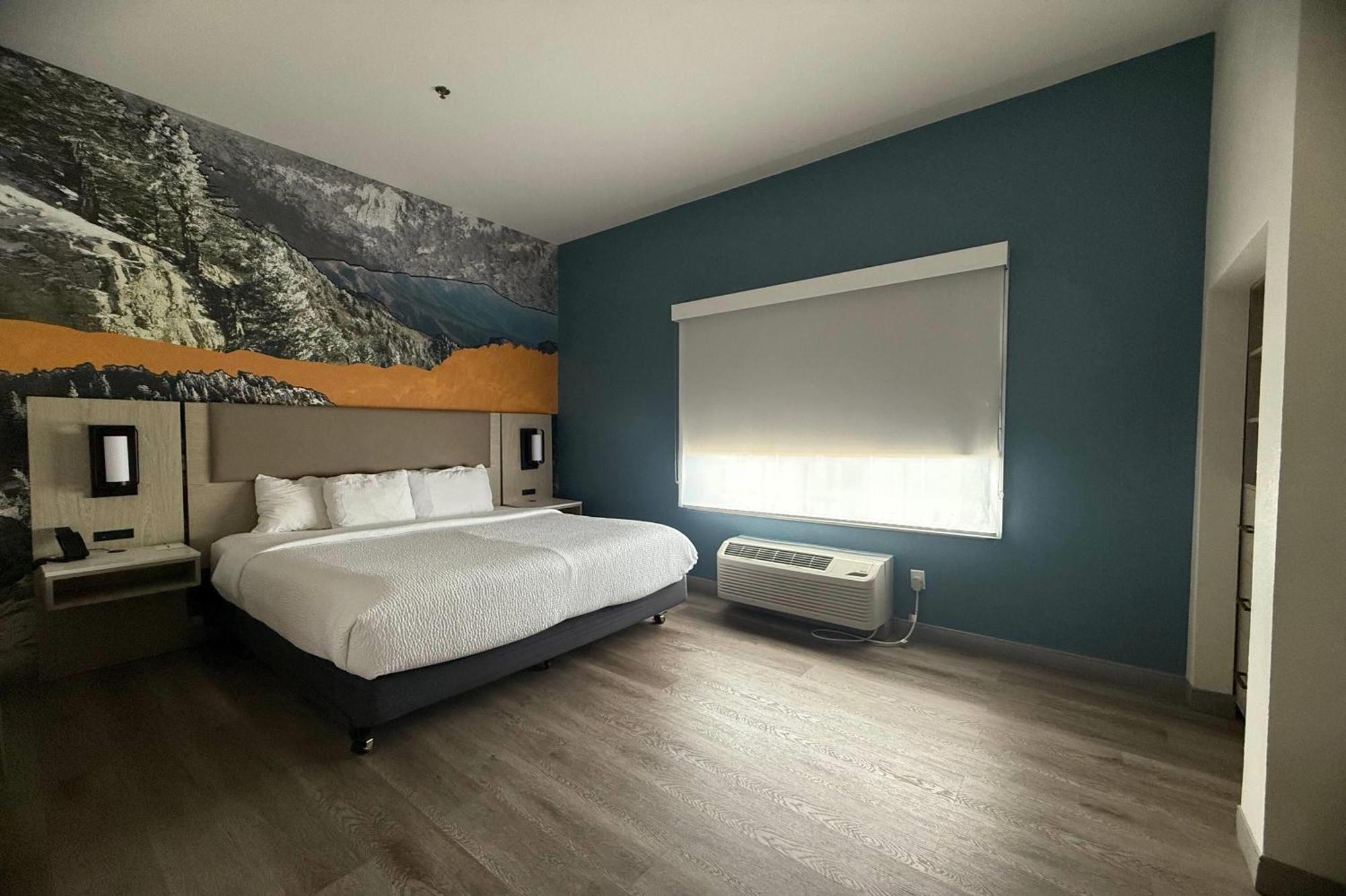 1 King Bed 1 Sleeper Sofa One-Bedroom Suite Non-Smoking