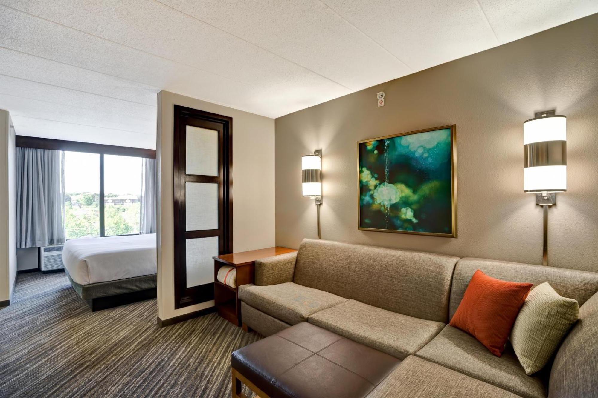 King Room Sofa Bed