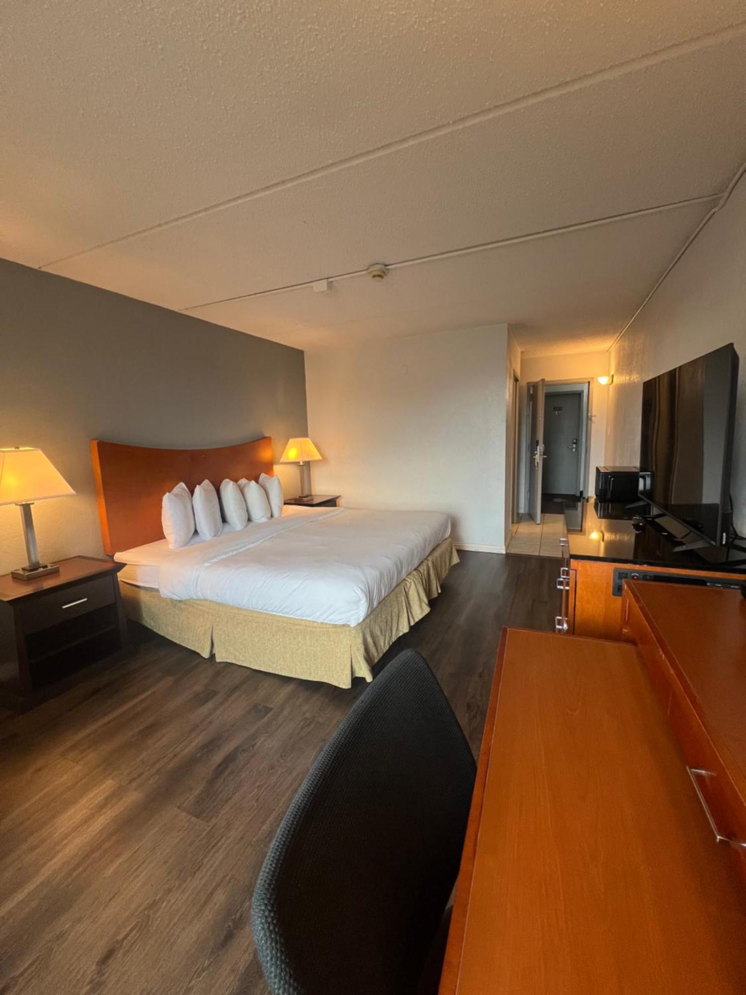 King Room