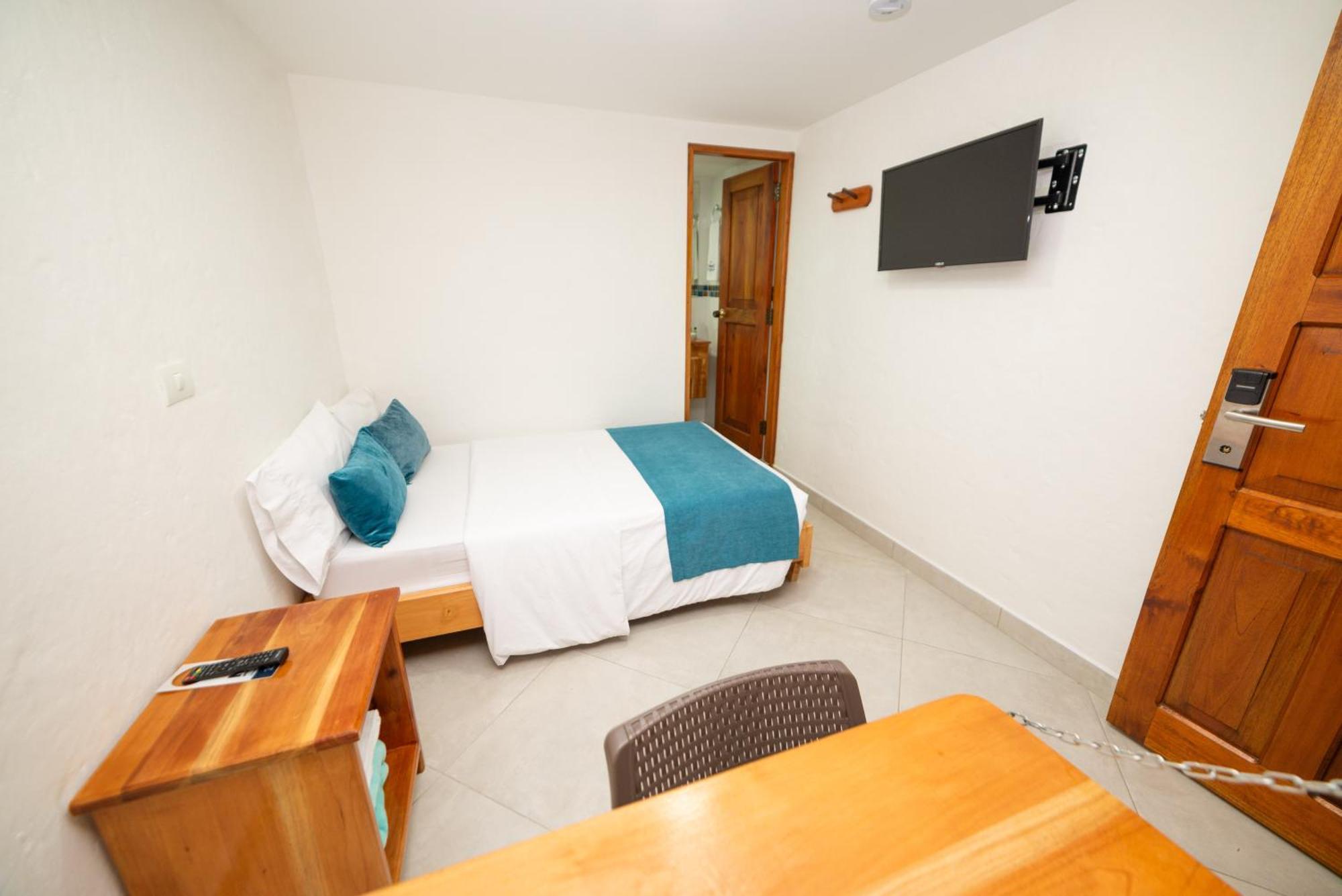 Large Single Room