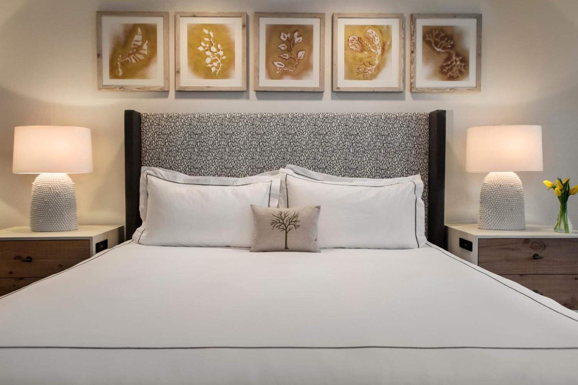 Deluxe King Room-Accessible
