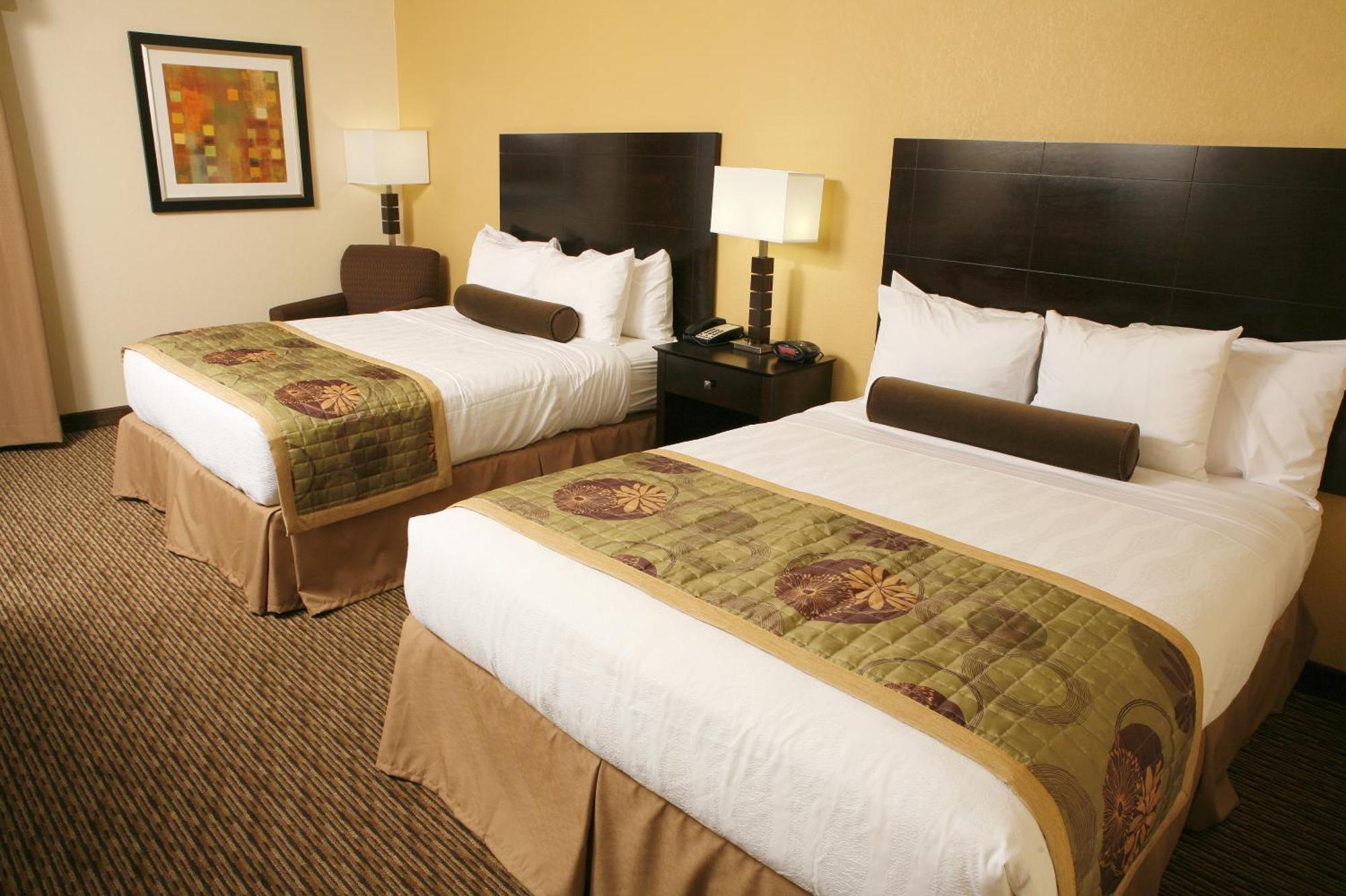 Queen Room Two Queen Beds Disability Access