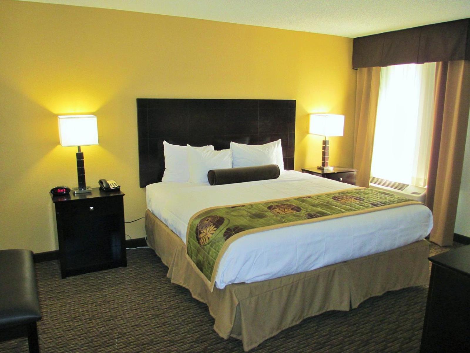King Room Non-Smoking
