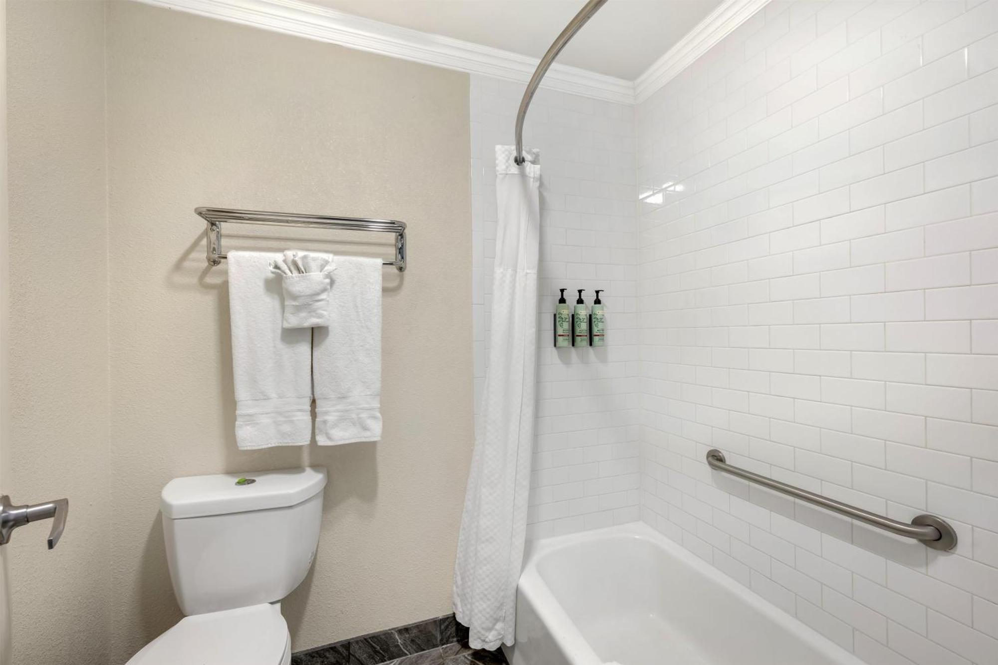 One-Bedroom King Suite Spa Bath Non Smoking