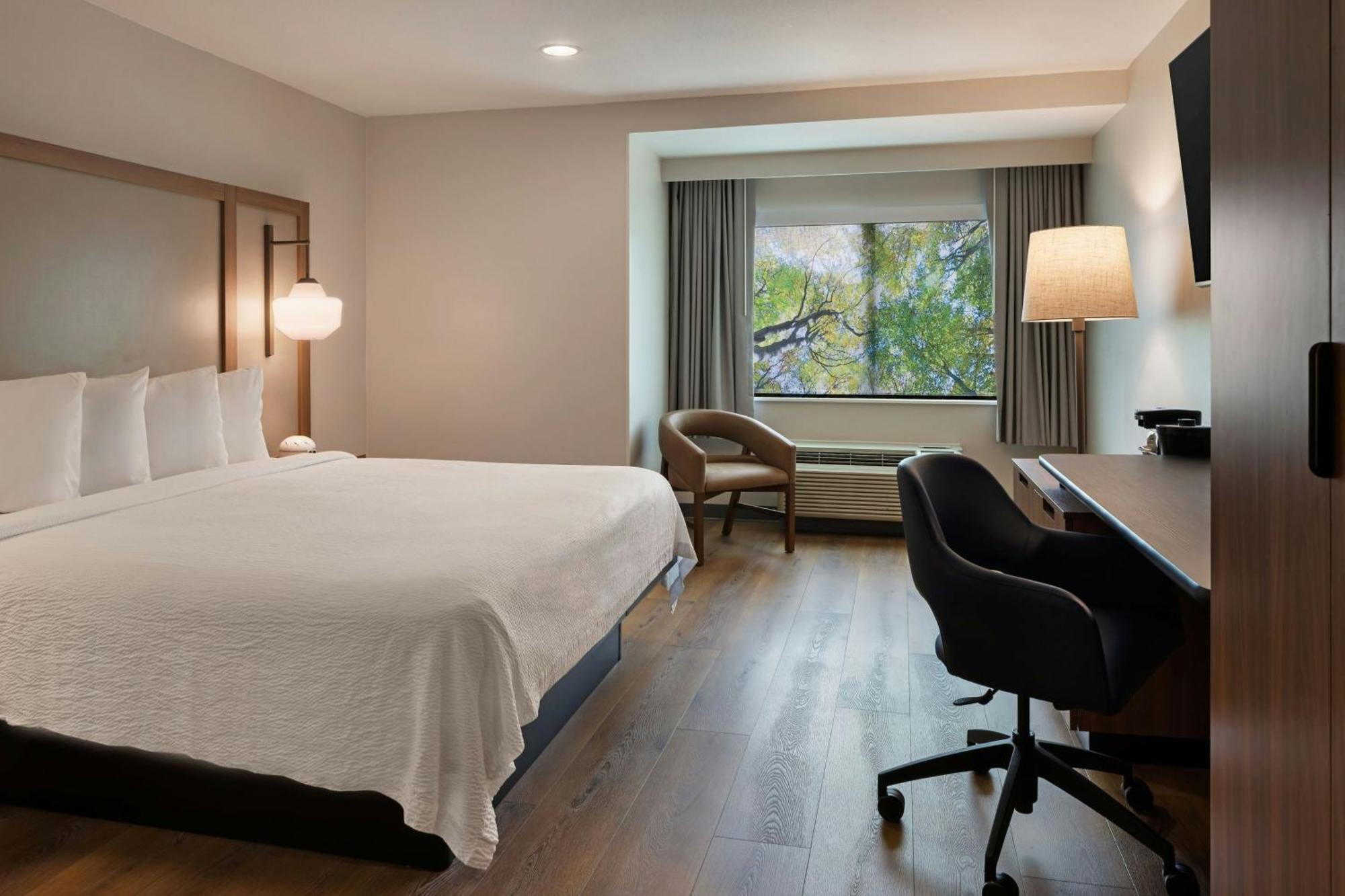 King Room