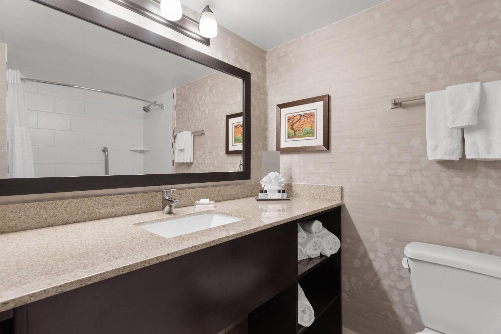 One-Bedroom King Suite - Non-Smoking