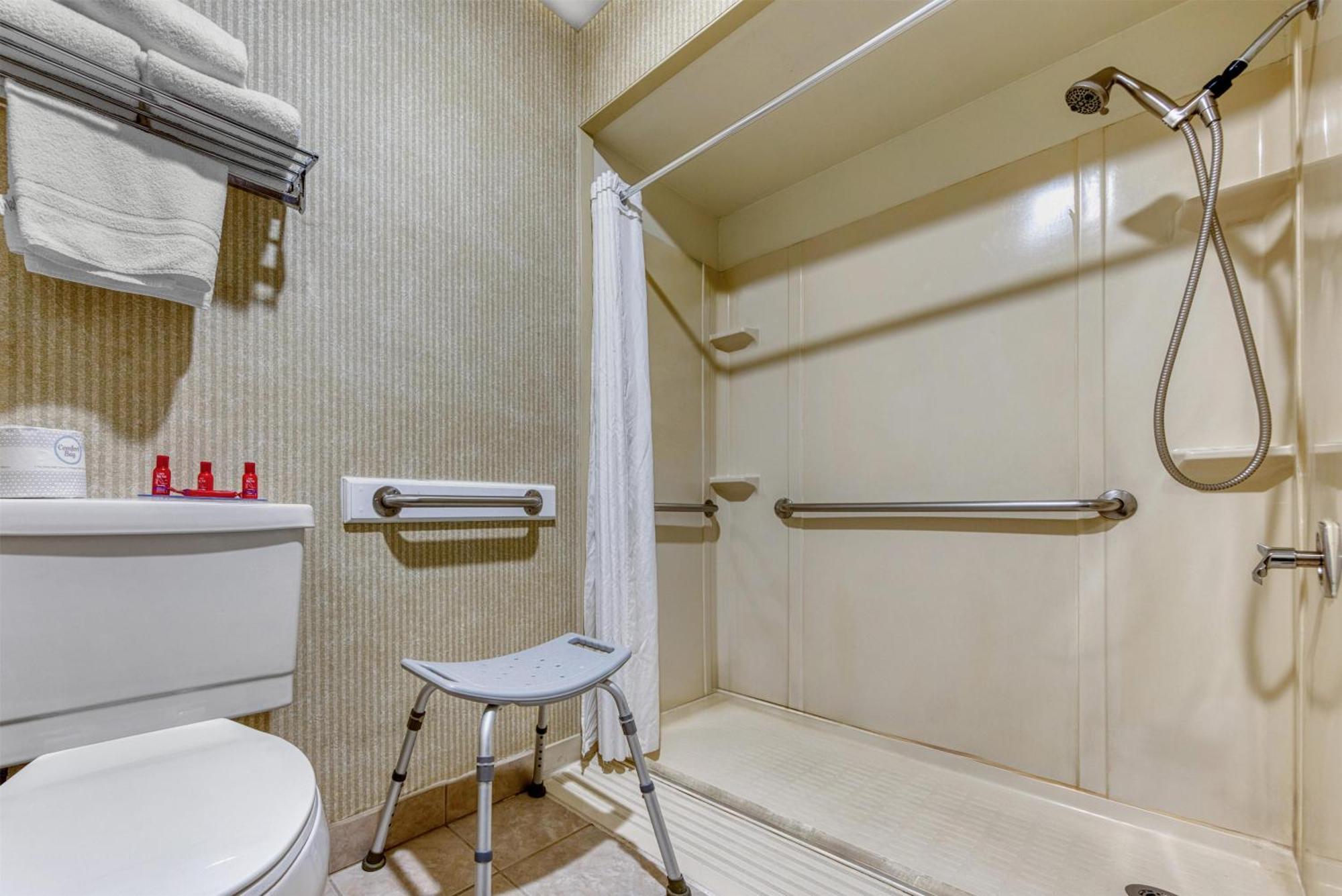 King Room Roll Shower Disability Access or Non-Smoking