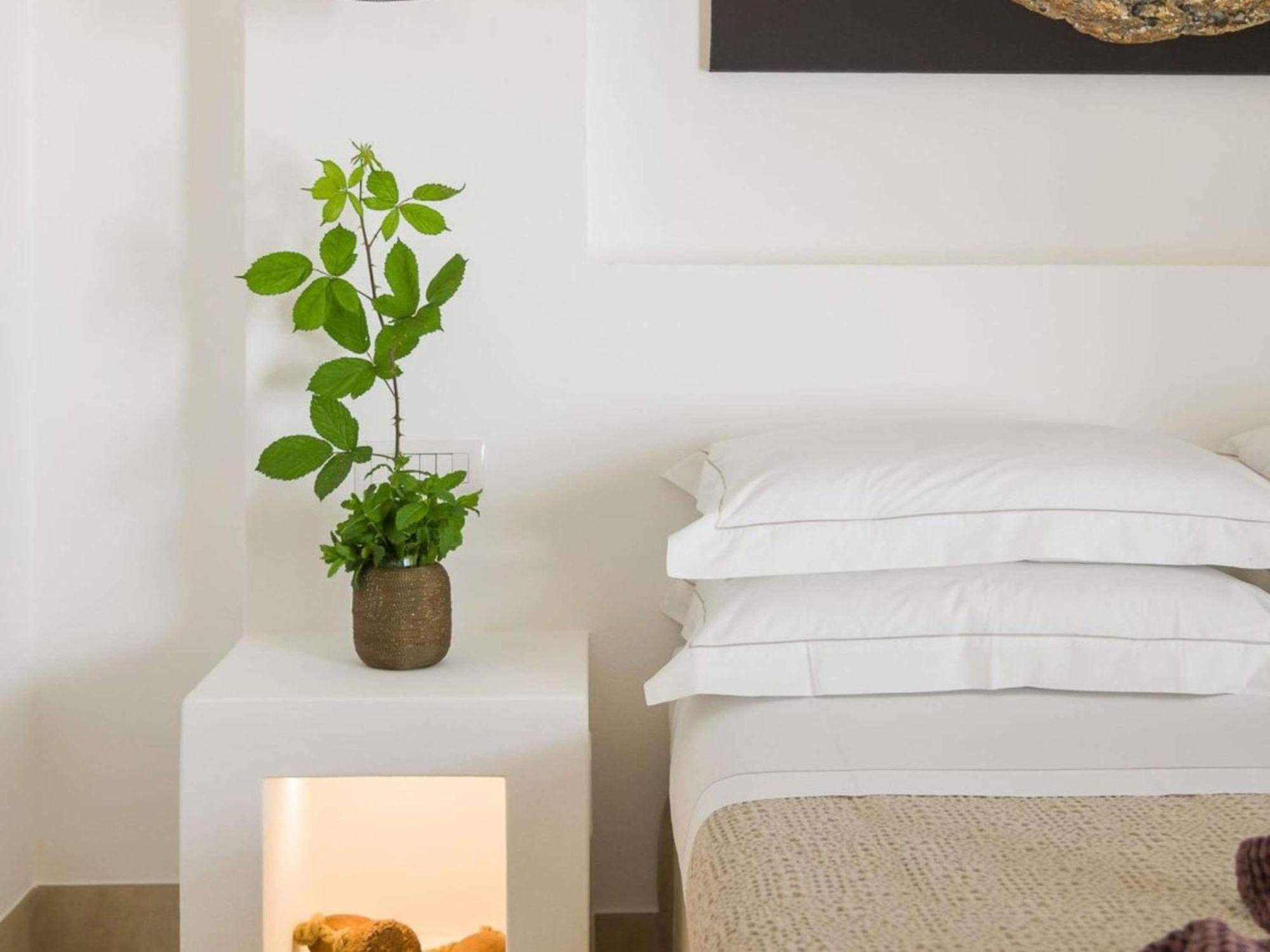 Habitación Deluxe con terraza y cama grande
