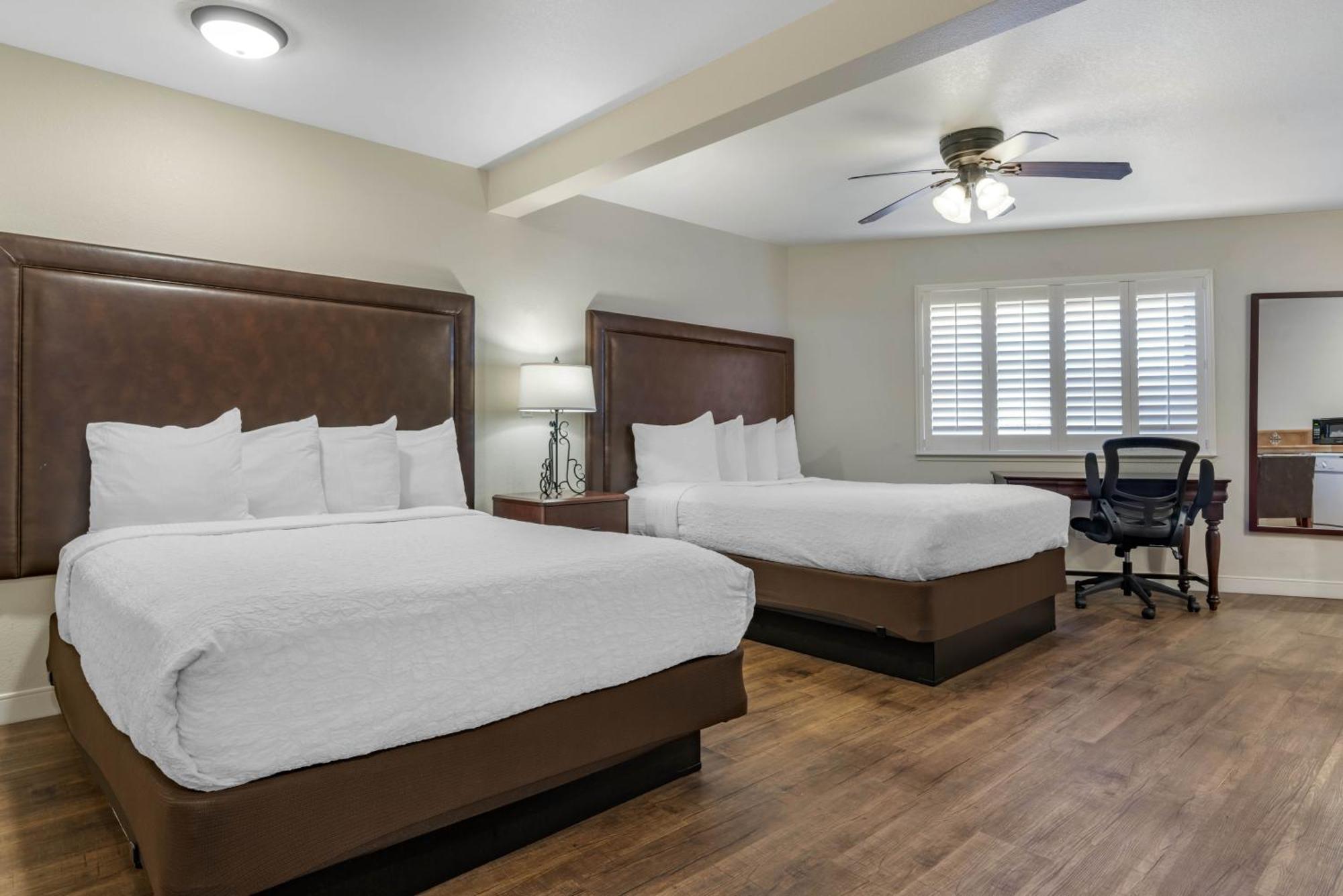 Studio Queen Suite Two Queen Beds Sofa Bed Full Kitchen Patio Non-Smoking