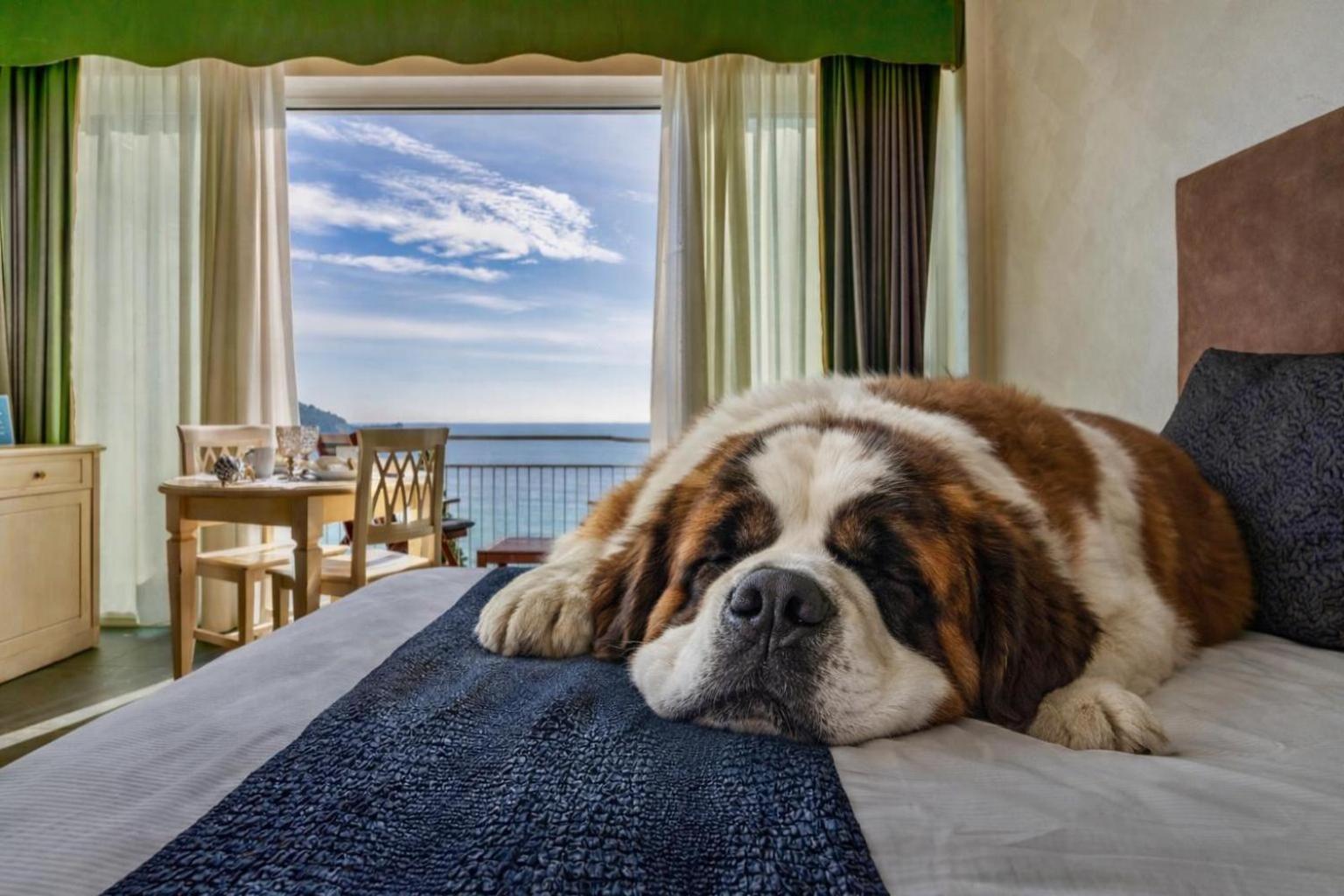 Studio Balcony Sea View