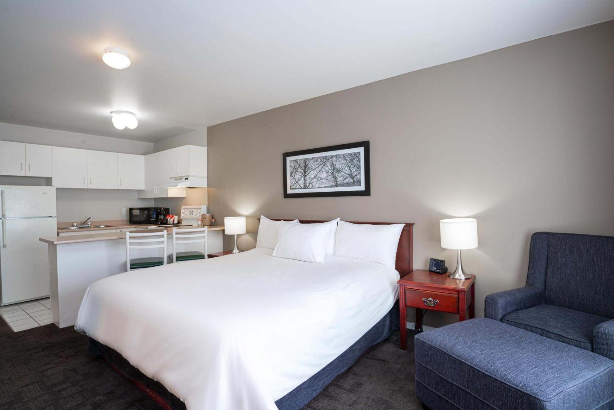 Studio Suite 1 Queen Bed Kitchen