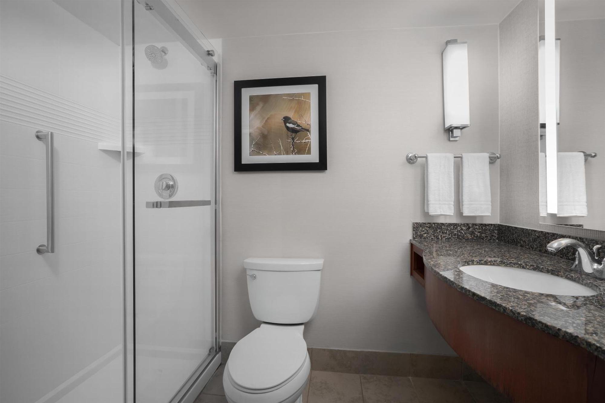 King Room Walk Shower