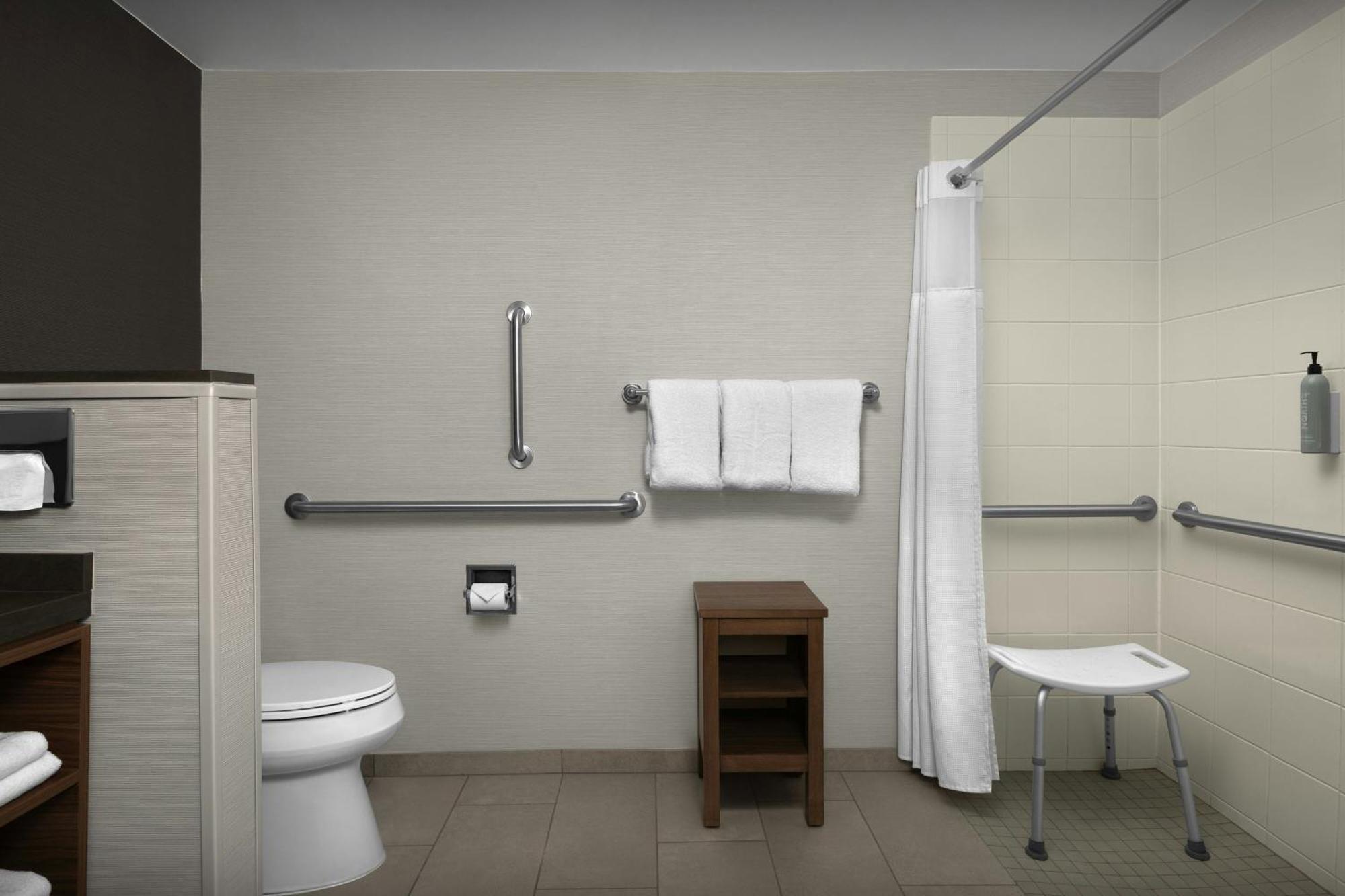 King Room Bathtub Sofa Bed Mobility Access or Hearing Accessible