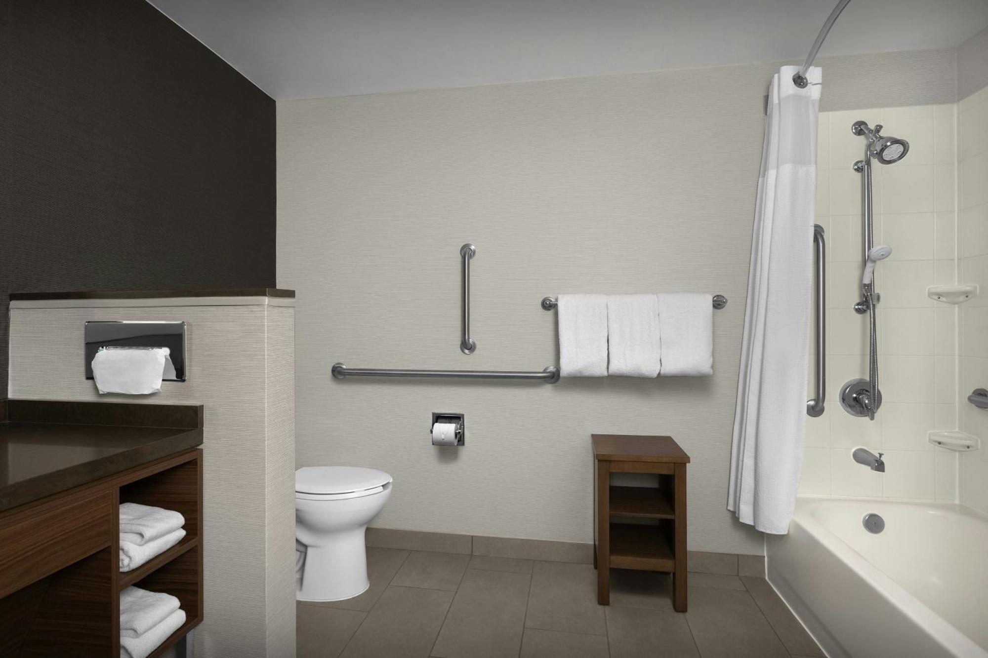 King Room Bathtub Sofa Bed Mobility Access or Hearing Accessible