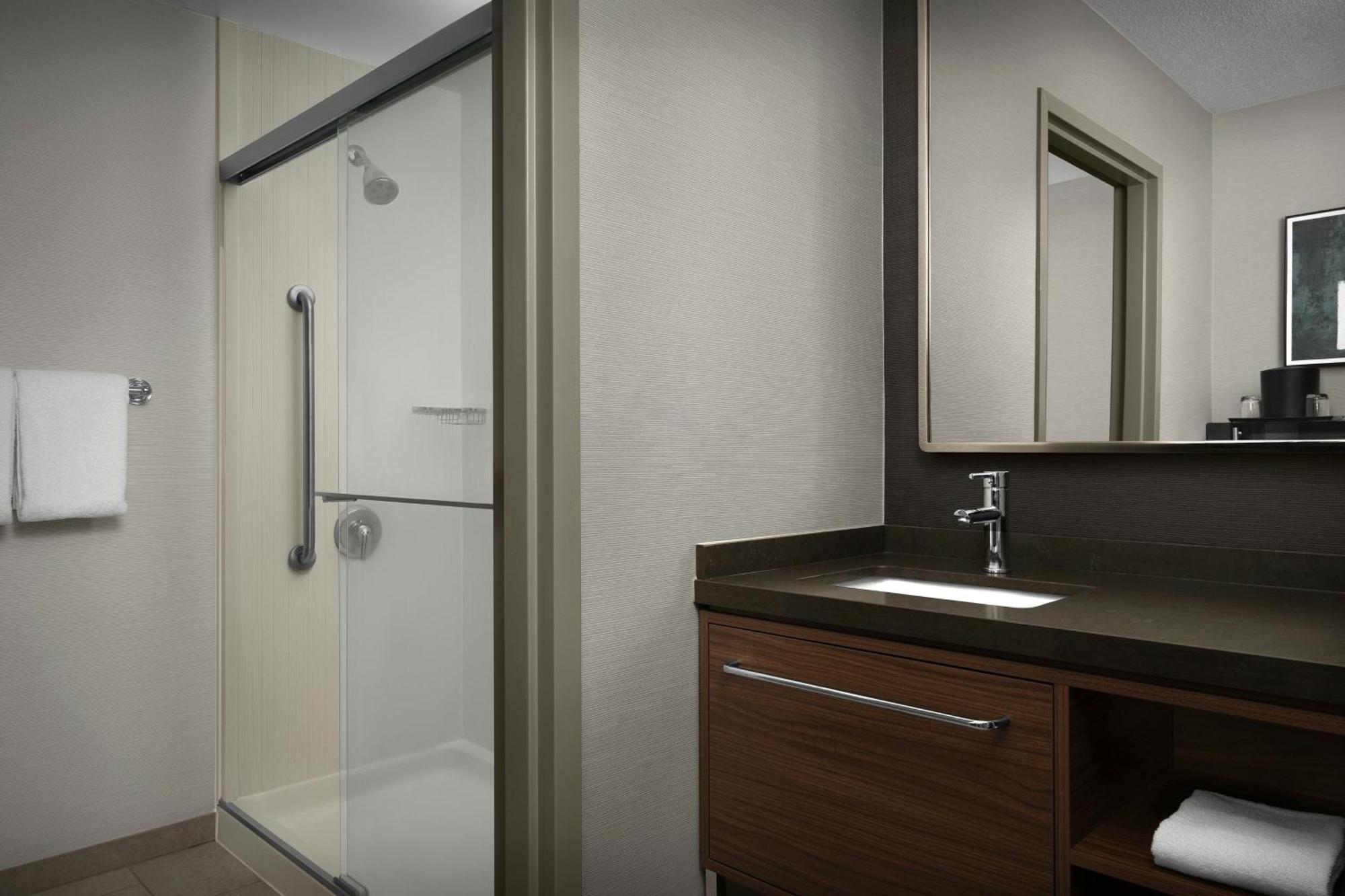 King Room Bathtub Sofa Bed Mobility Access or Hearing Accessible