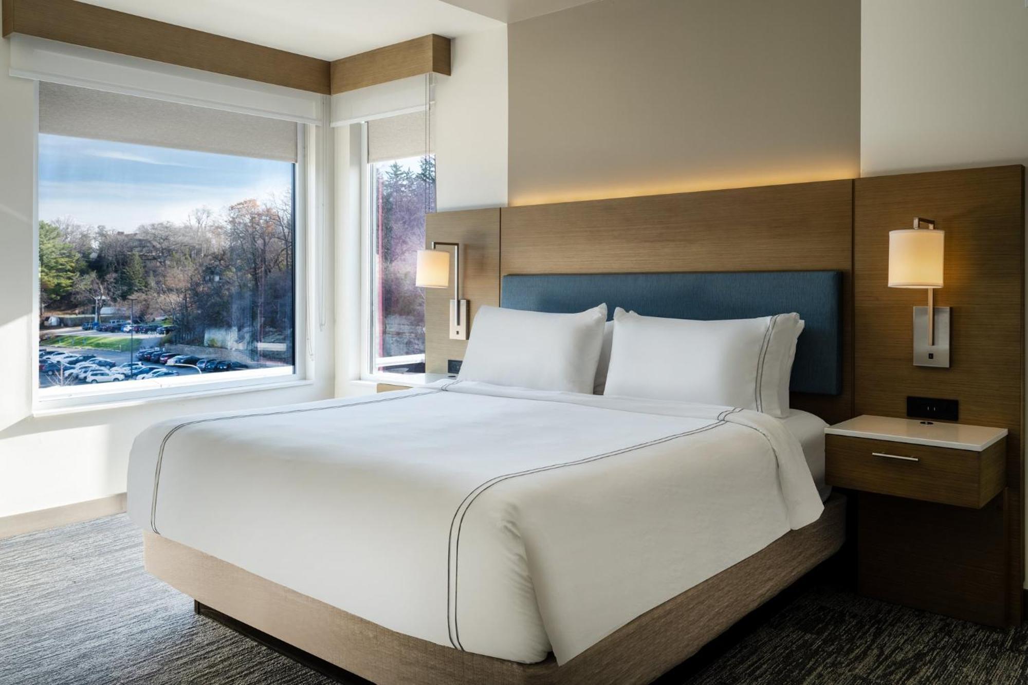 King Suite Hearing Accessible or Non-Smoking