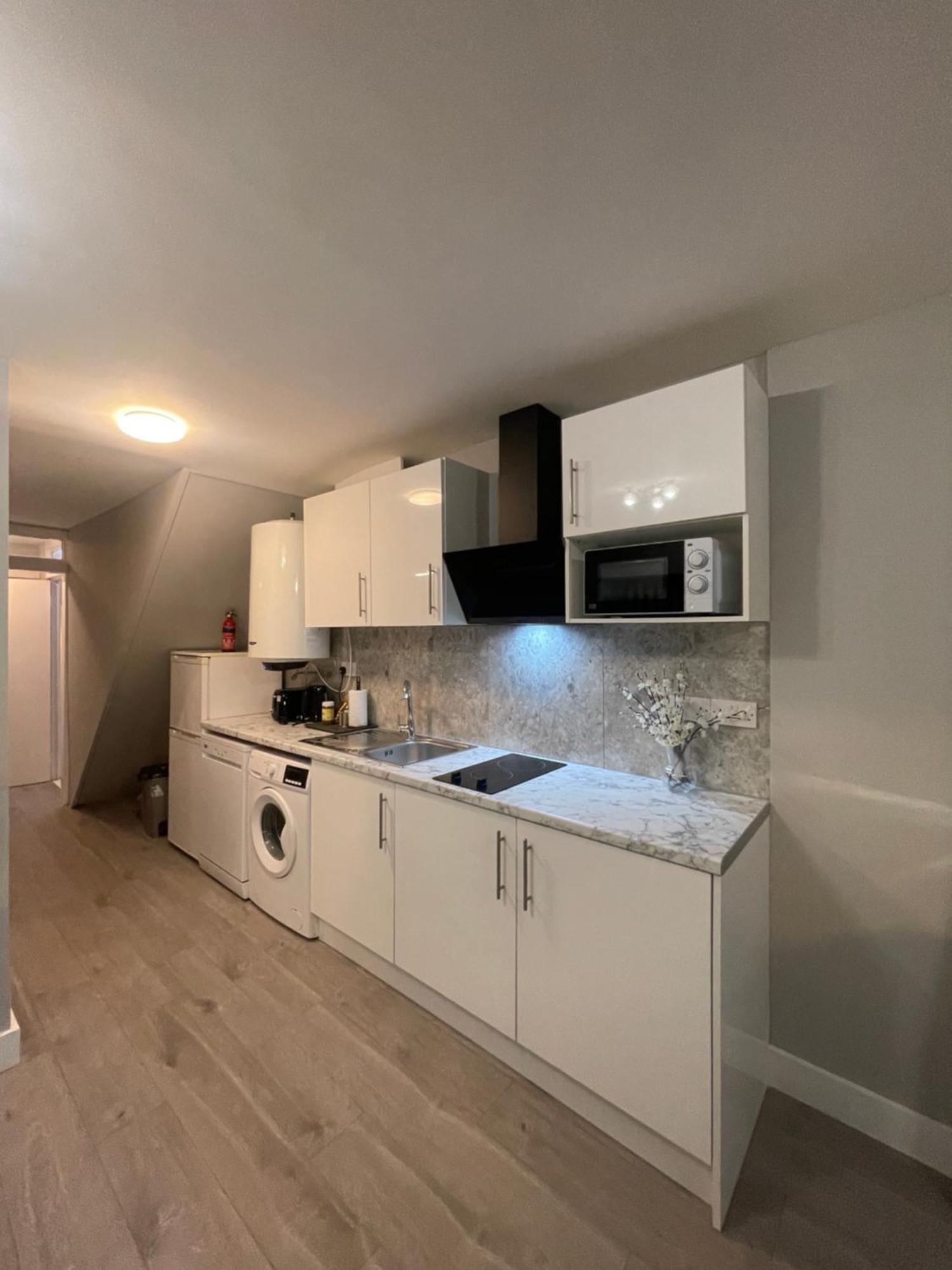 Basement Flat Garden