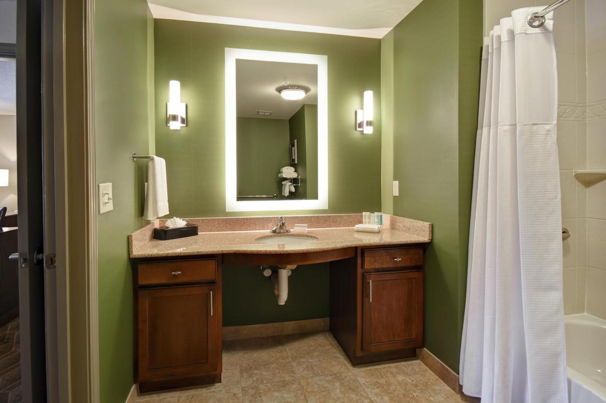 One-Bedroom King Suite Lake View