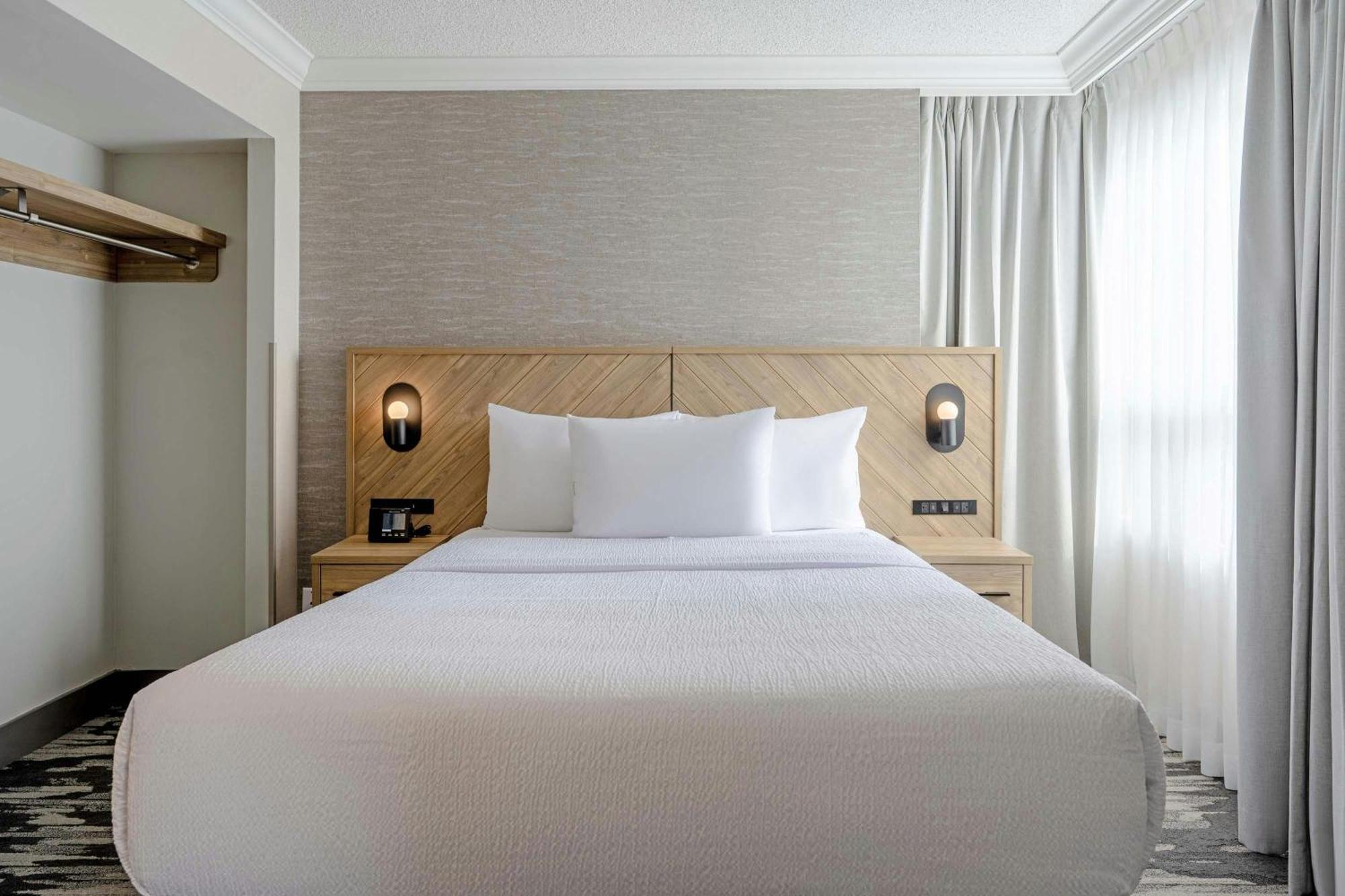 Standard Suite 1 King Bed Sofa Bed Kitchen
