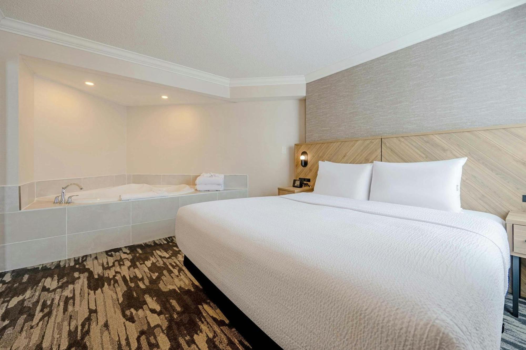 Jacuzzi Suite 1 King Bed Sofa Bed