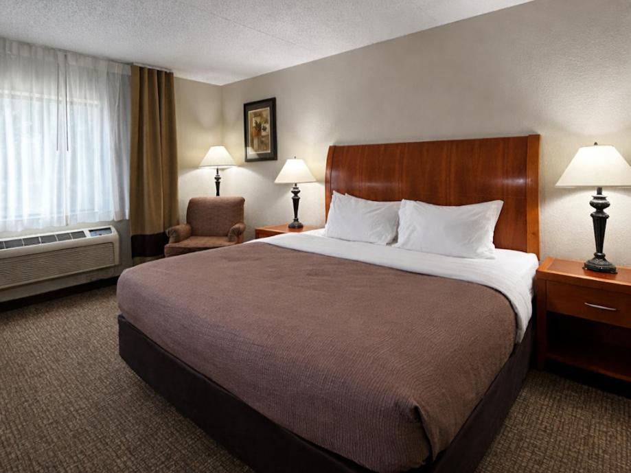 King Room Pet Friendly