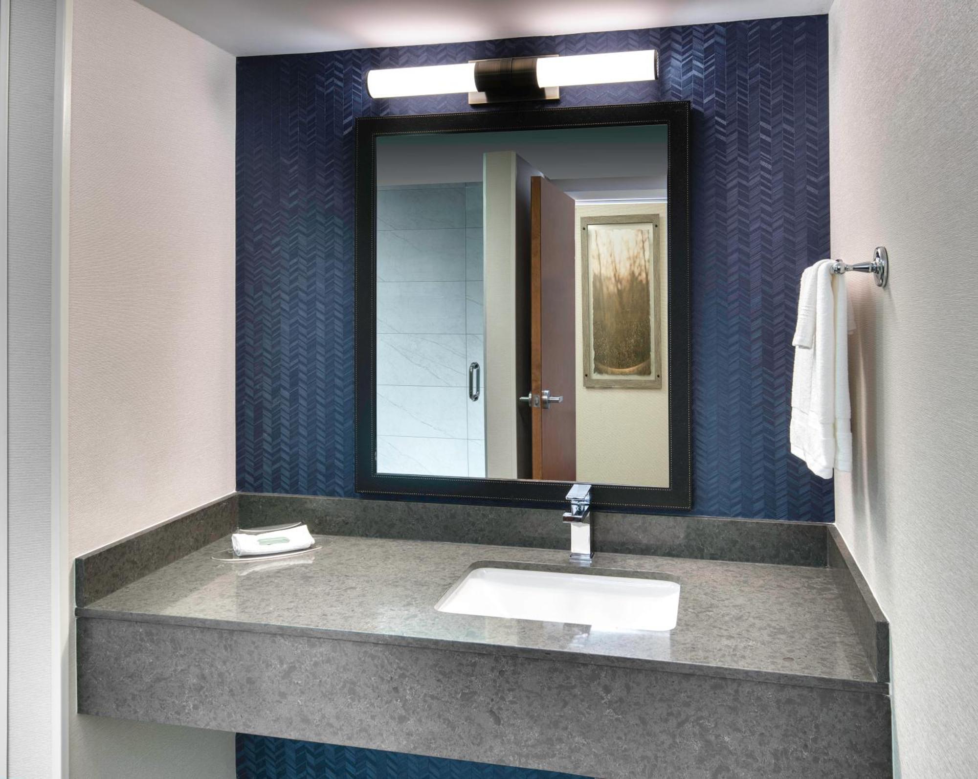King Room Roll Shower Mobility Access or Hearing Accessible