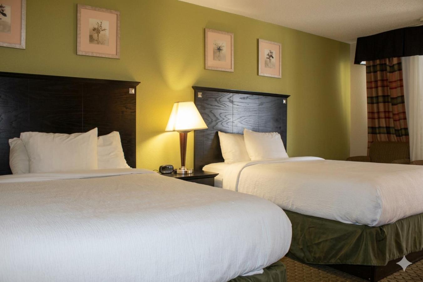 Suite Two Double Beds Non Smoking