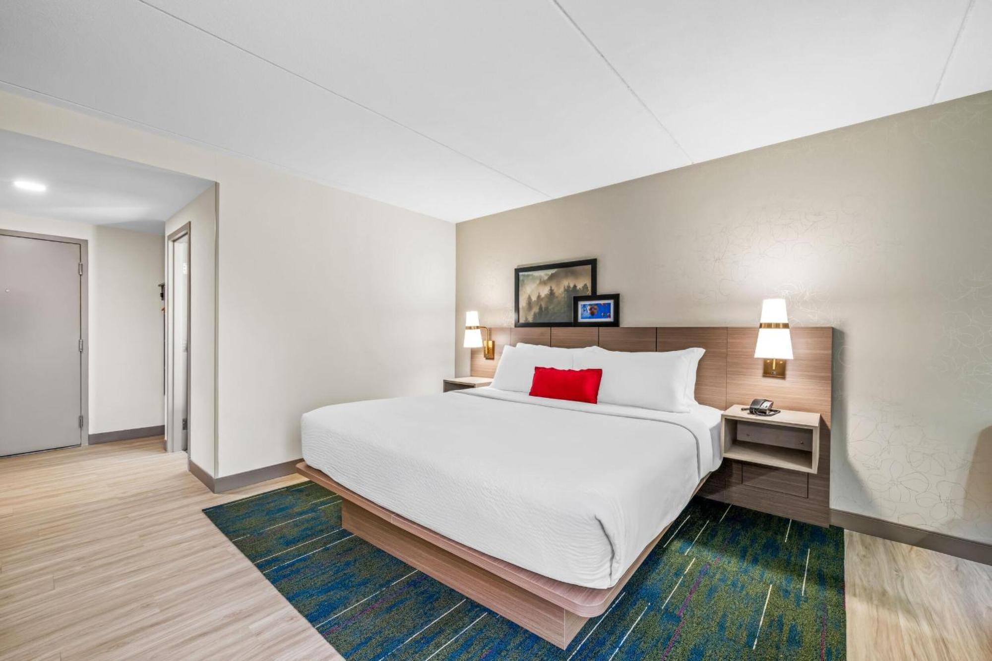 King Room- Non-Smoking