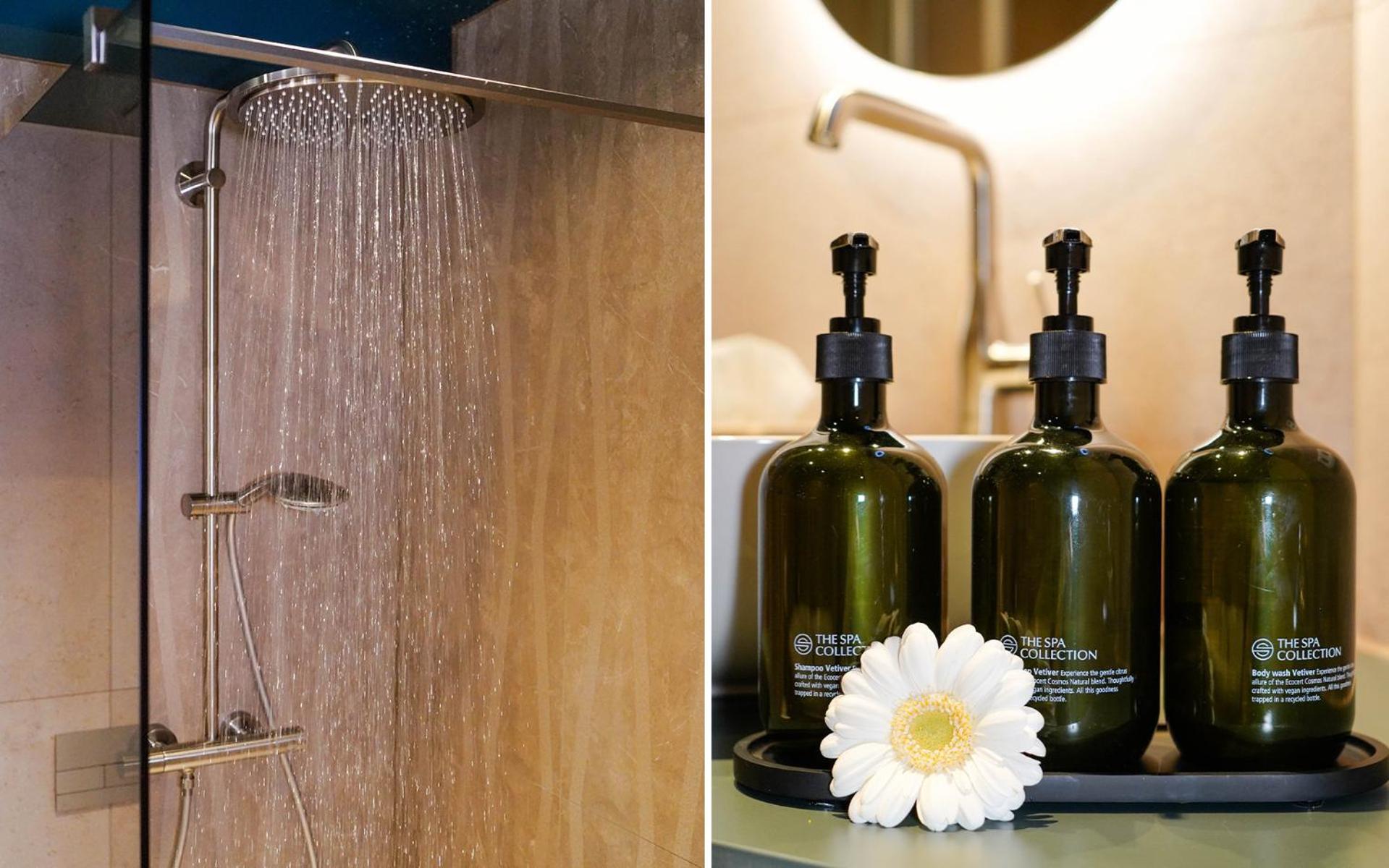 Deluxe Double Room Shower