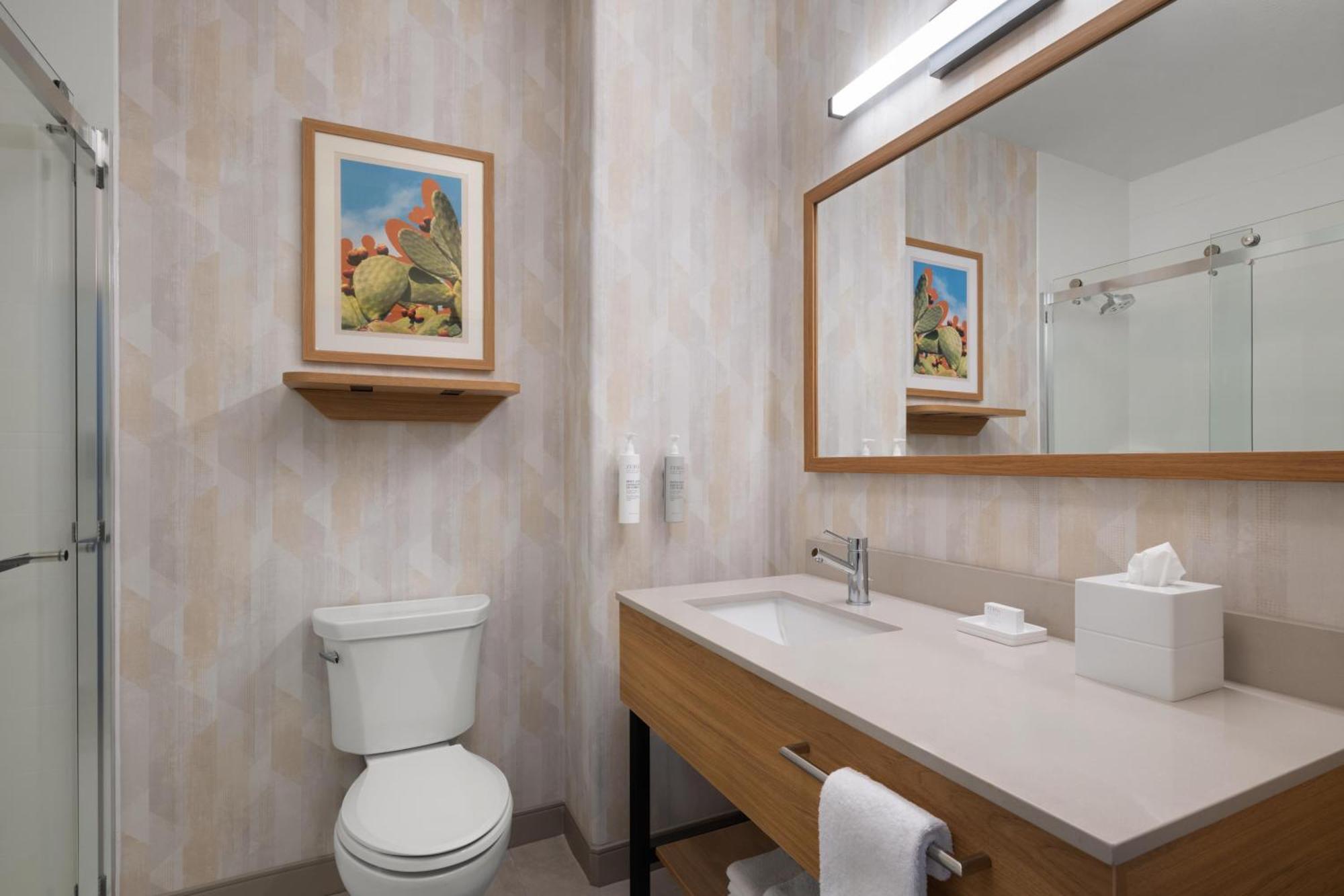 King Studio Suite Non-Smoking