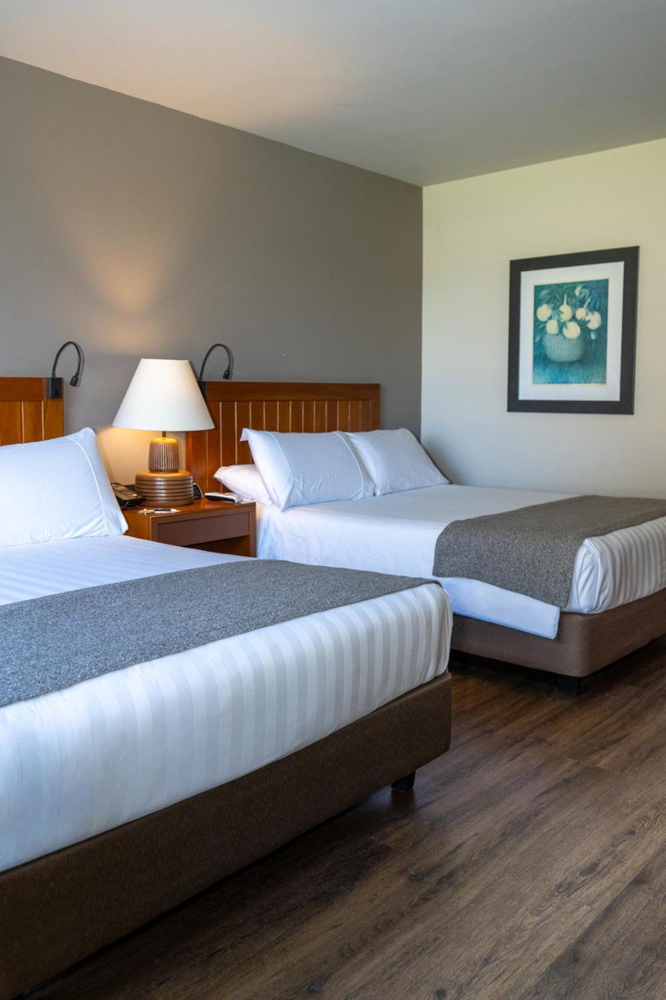 Twin Room Lake View