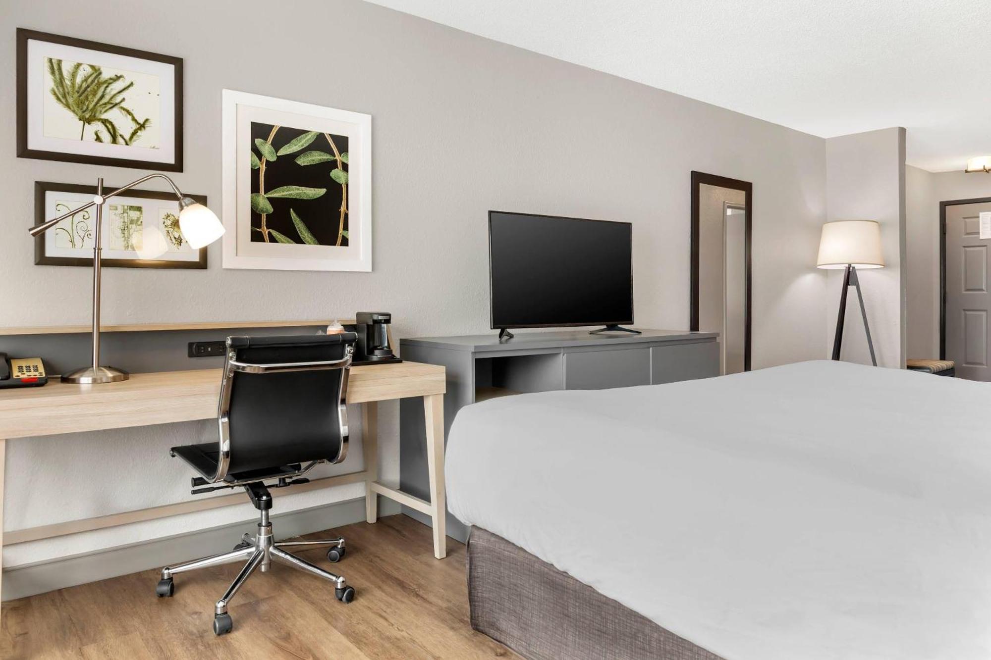 King Studio Suite Non-Smoking