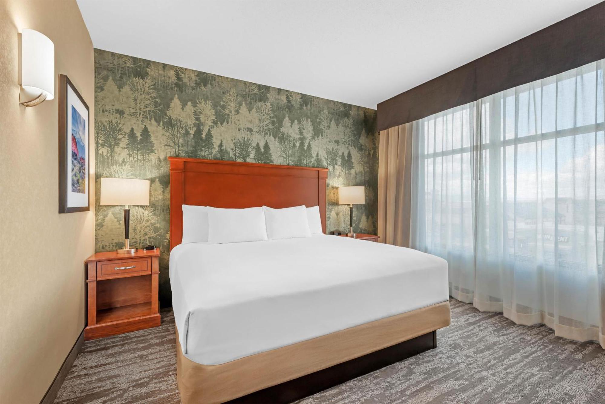 King Suite with Sofa Bed