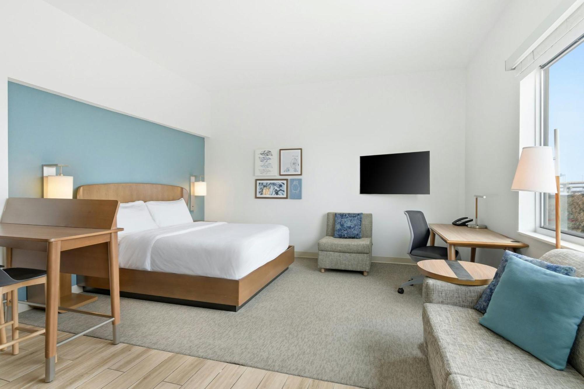 Studio 1 King Sofa bed