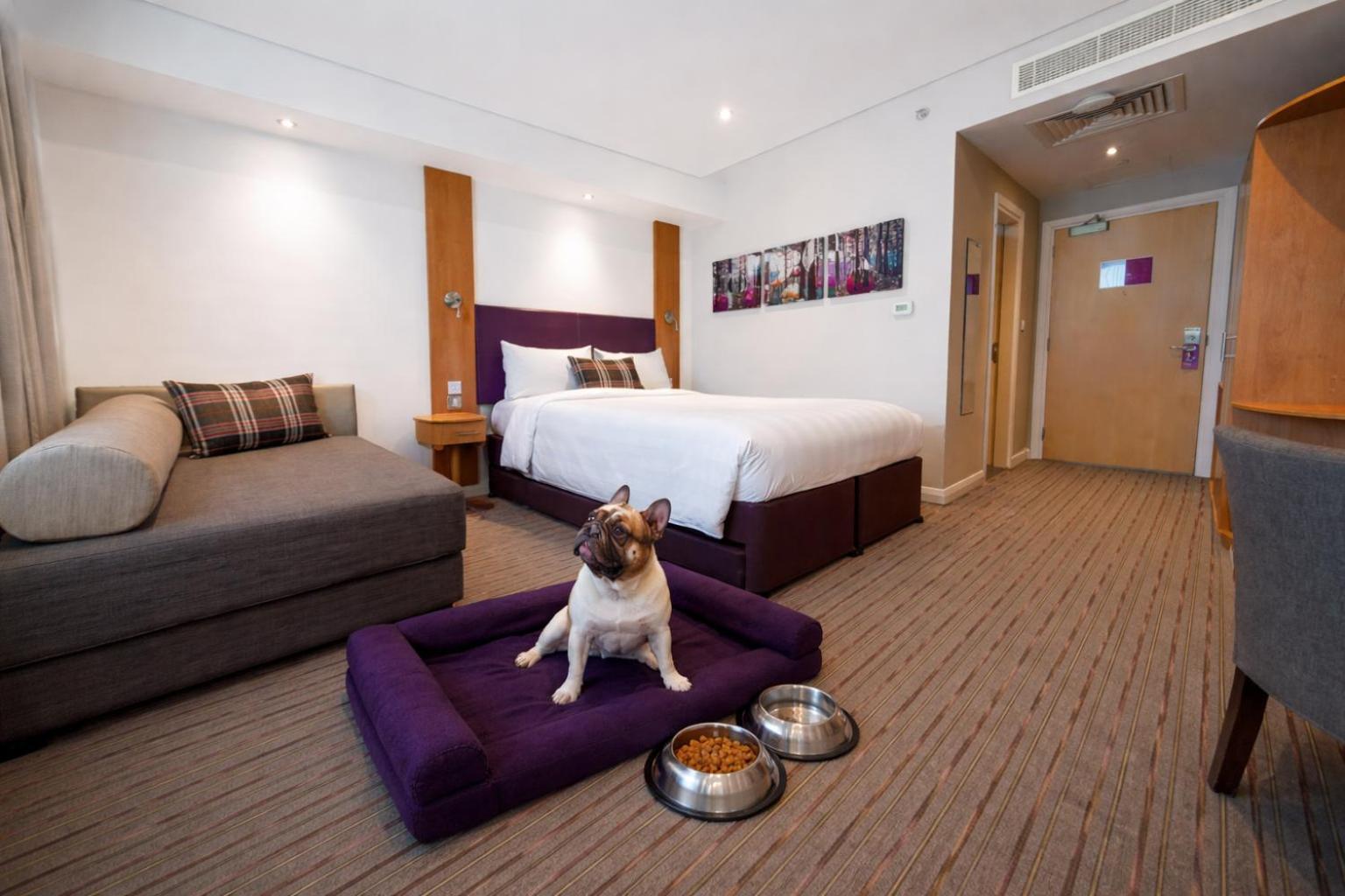 Dog friendly room non smoking 1 dog allowed
