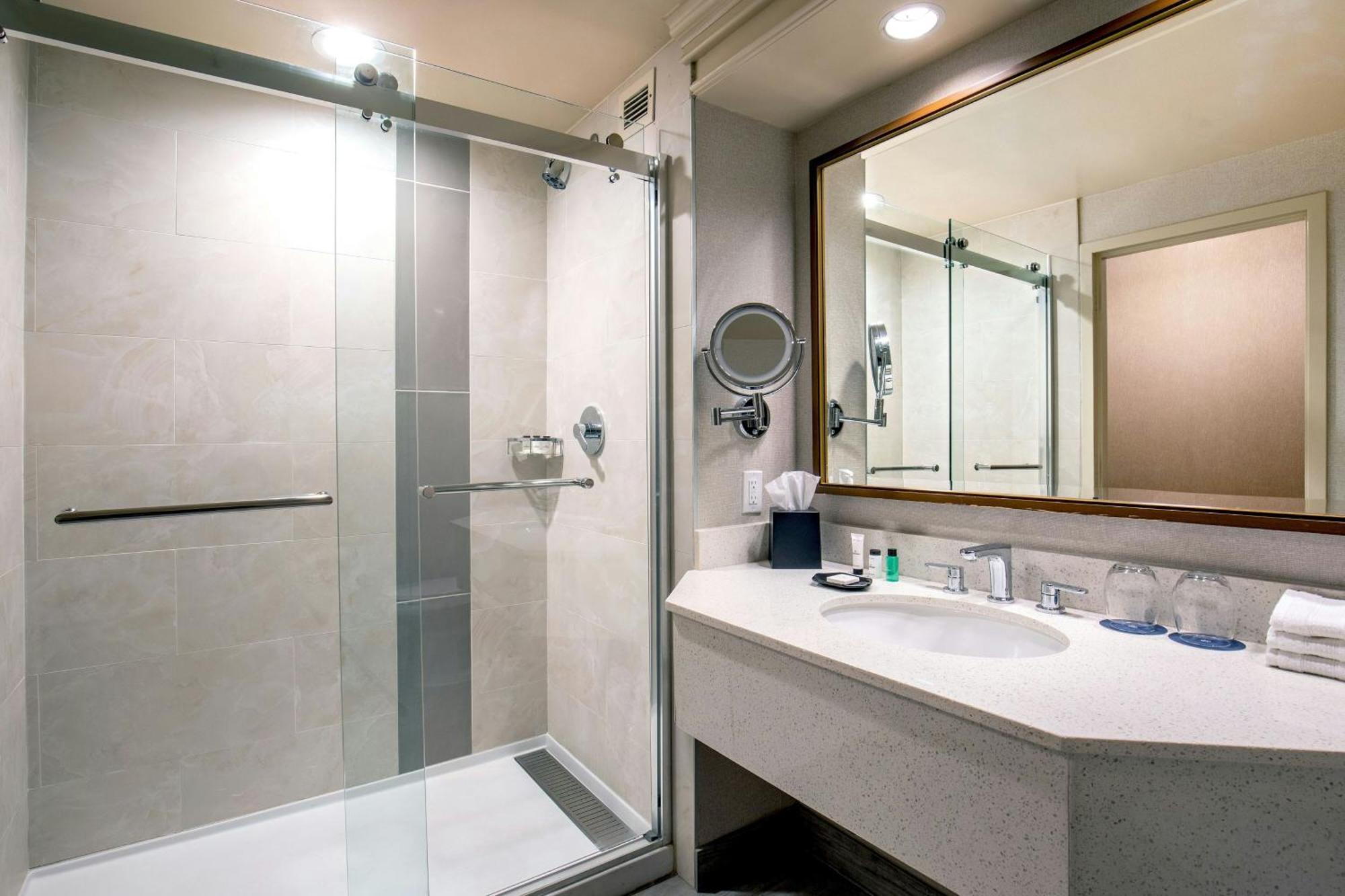 Traditional King Room Adapted Tub Mobility Accessible