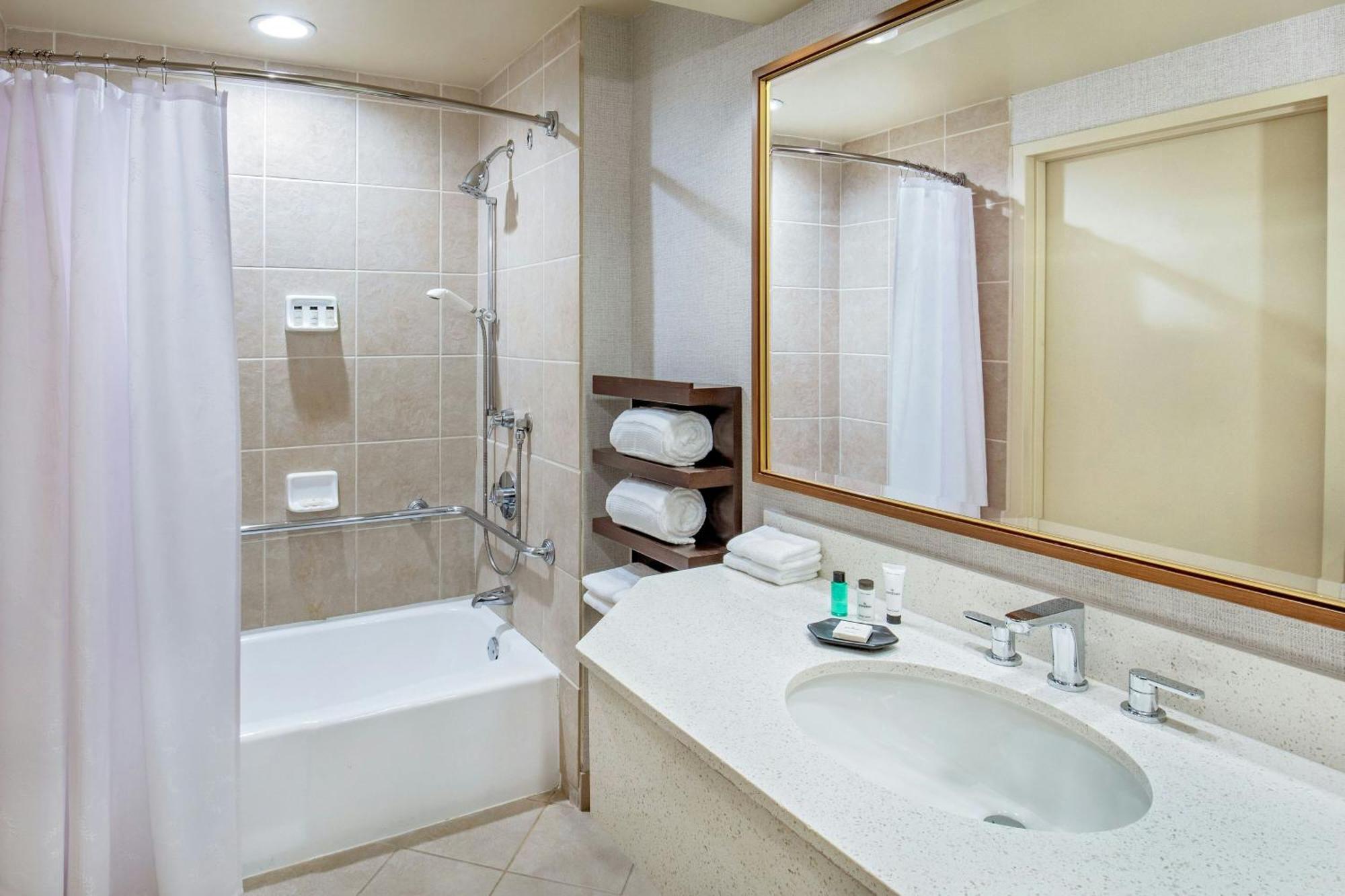 Traditional King Room Adapted Tub Mobility Accessible