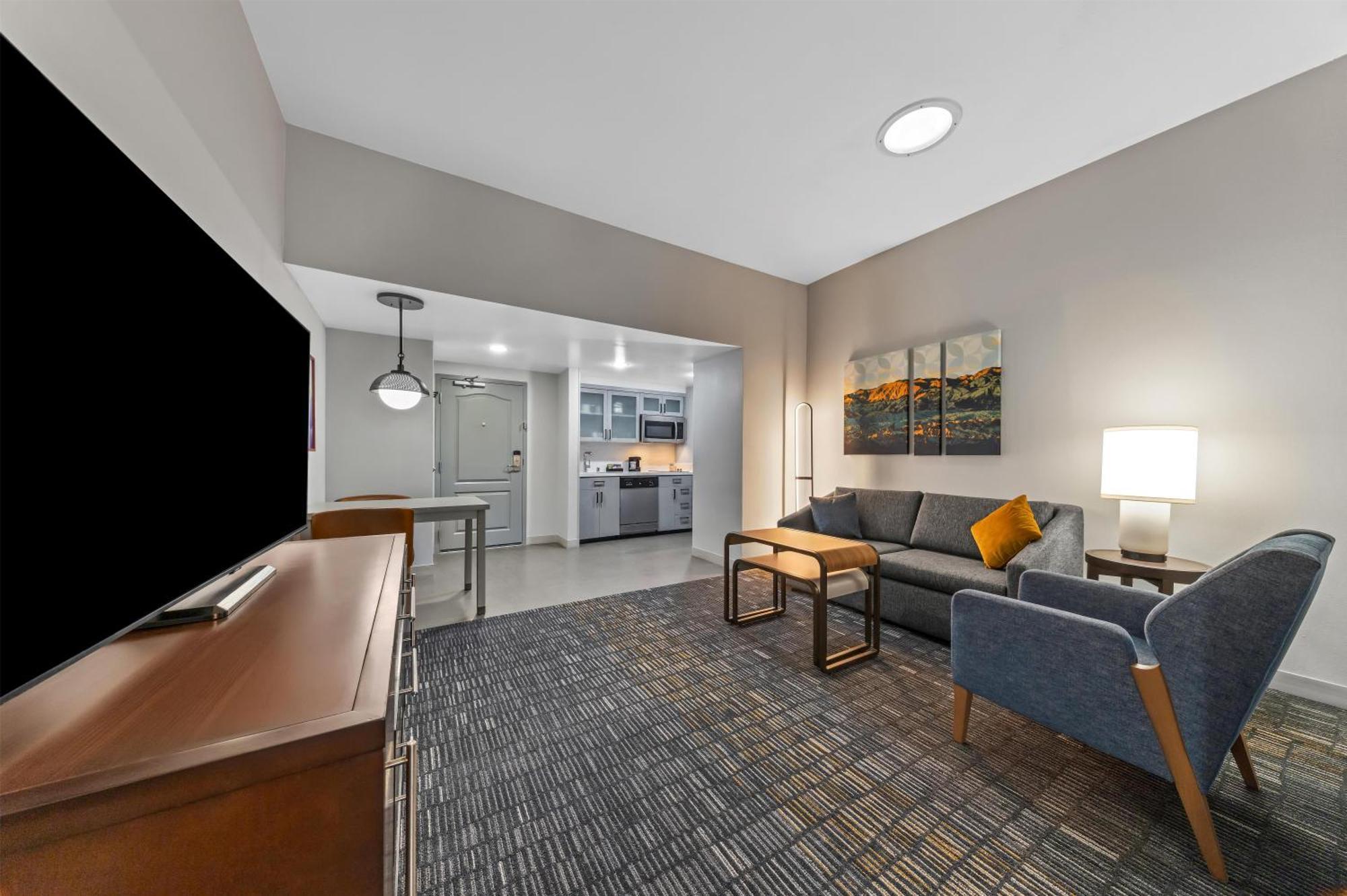 Deluxe One-Bedroom King Suite Non-Smoking