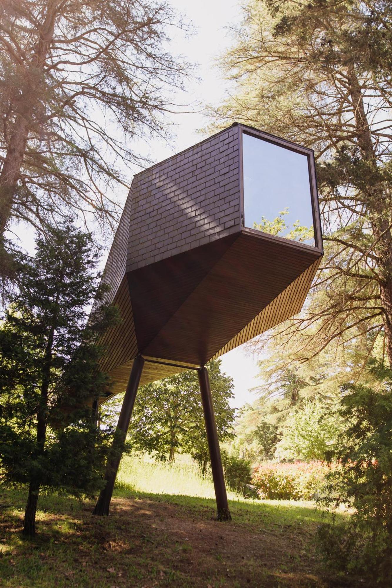 Tree House