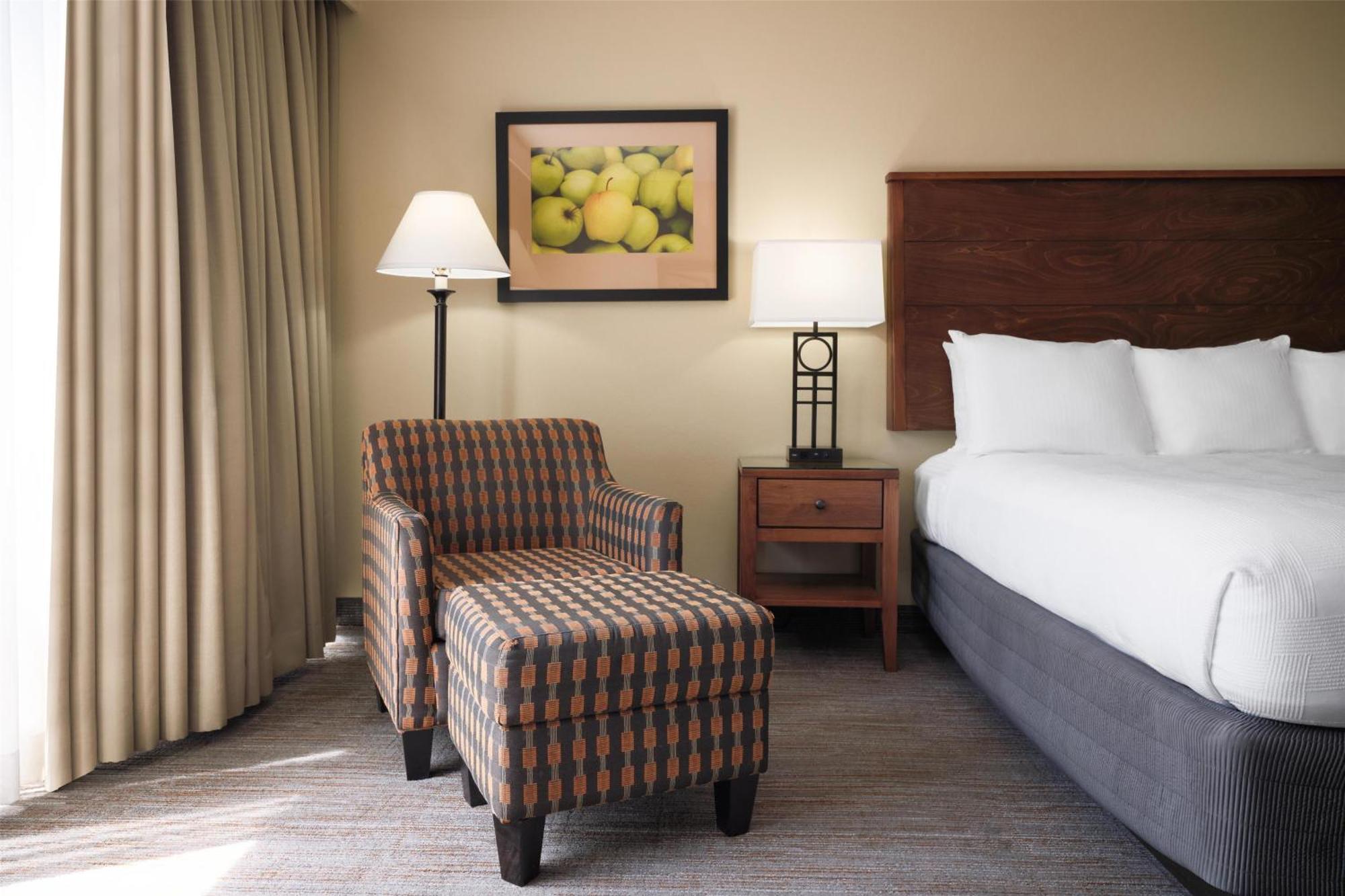 Standard King Room Pet Friendly by Request