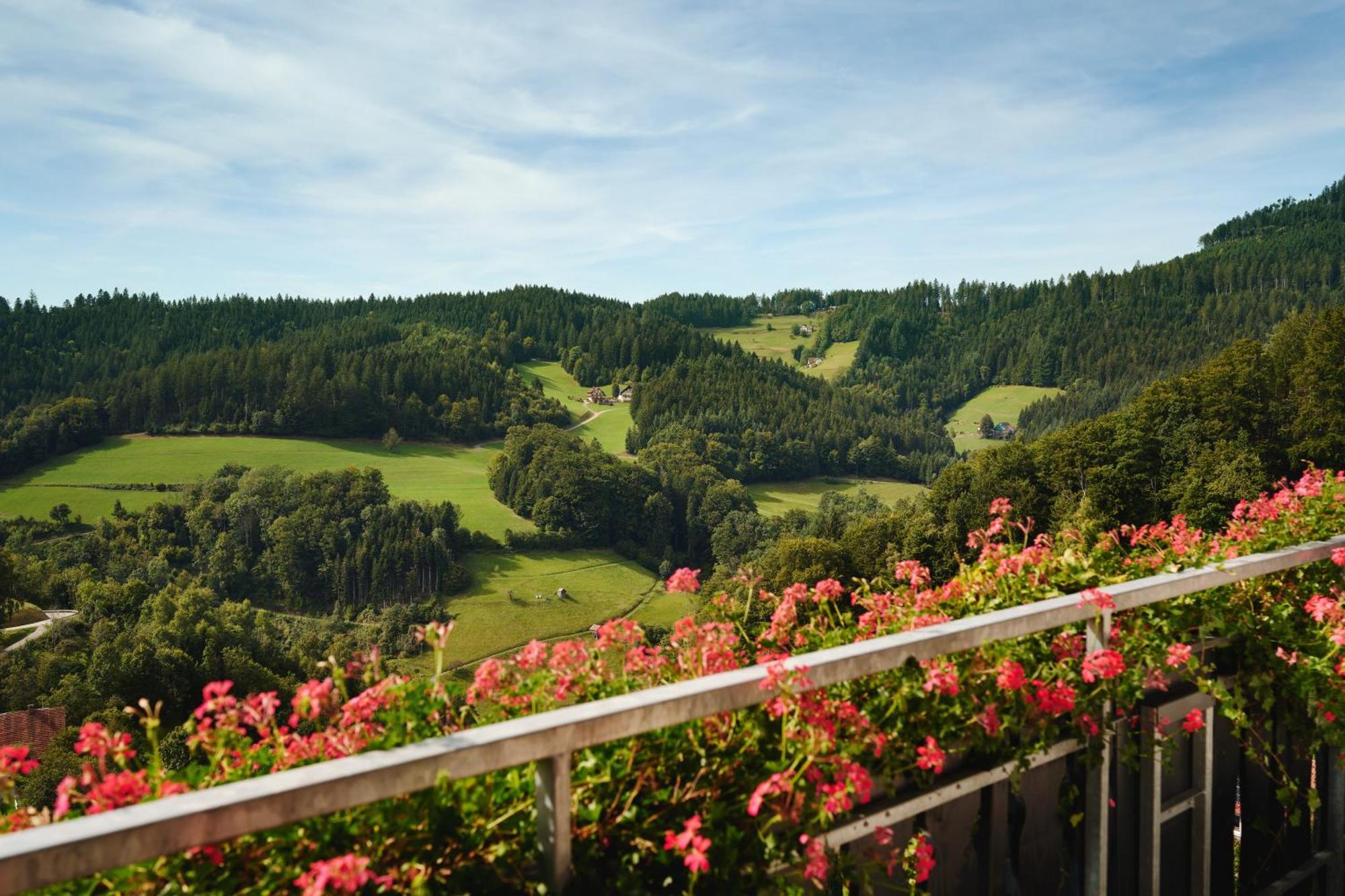 Junior Suite Valley View