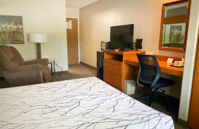 Queen Suite