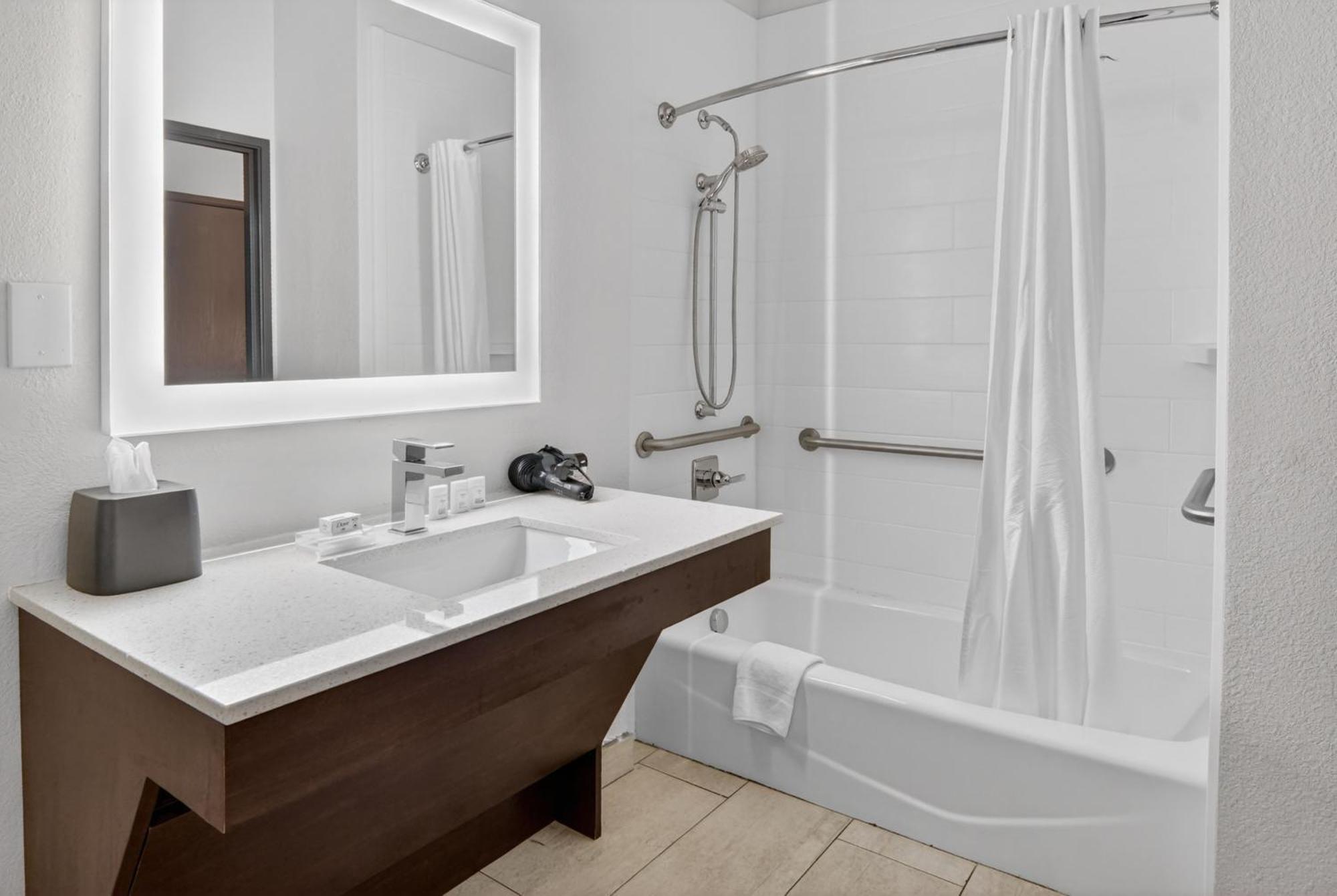 Standard King Room Accessible Tub Mobility Access