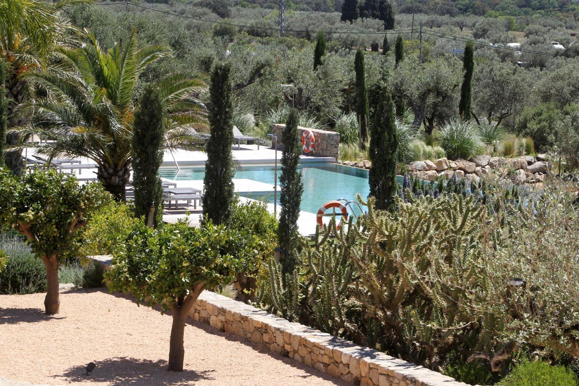 Junior Suite Pool View