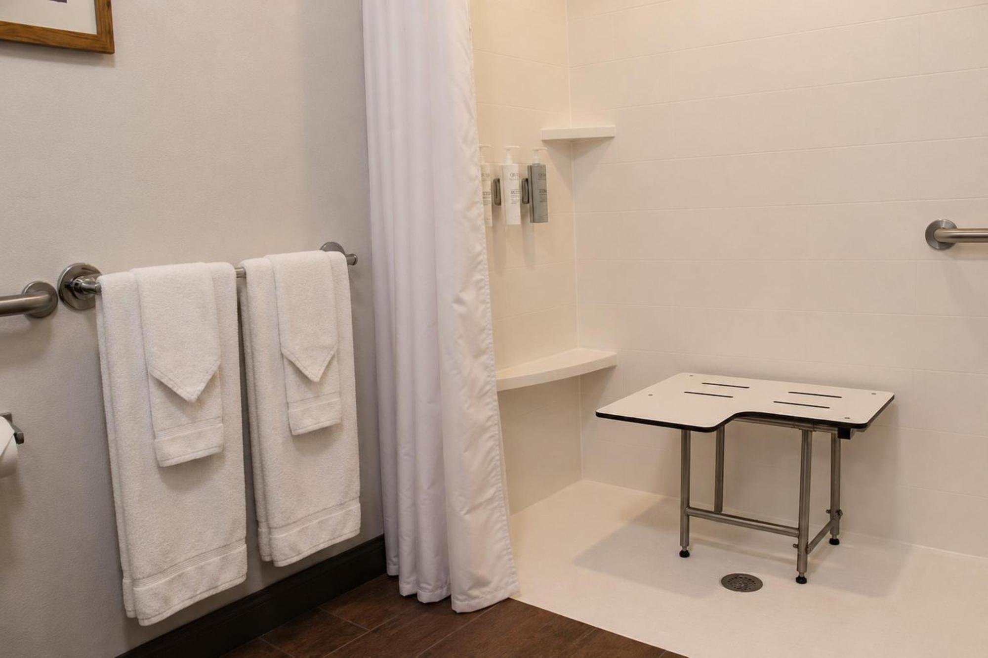 King Room Shower Mobility Access or Non-Smoking