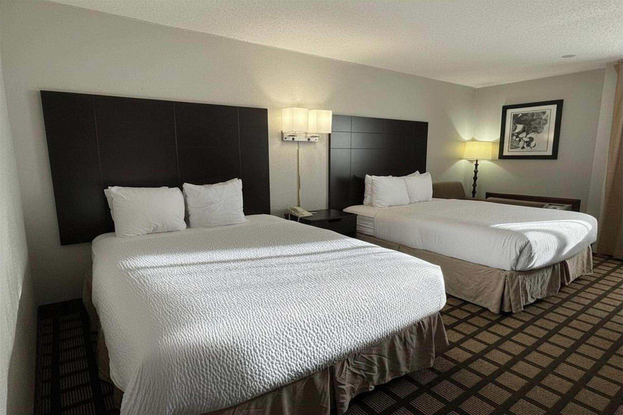 Studio Suite Two Queen Beds Non-Smoking