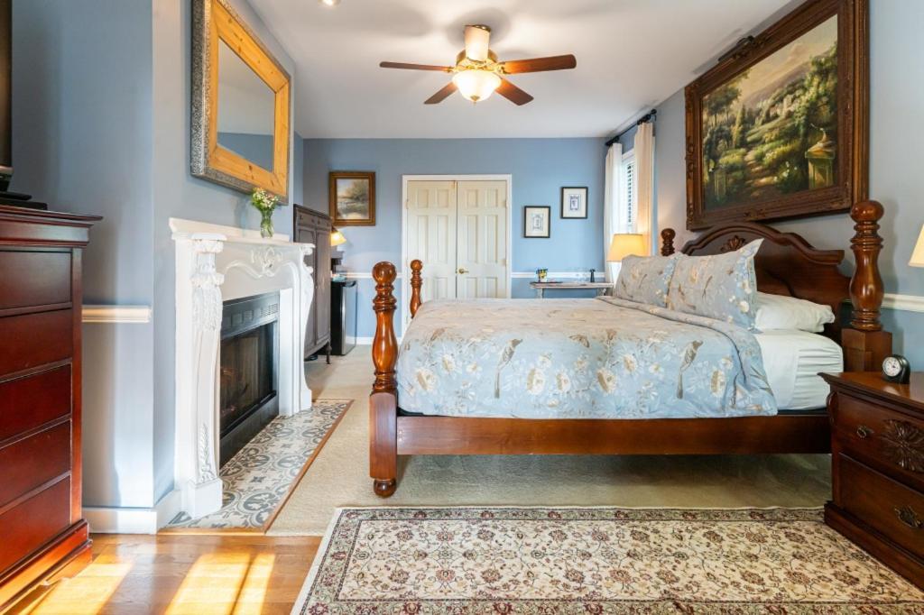Blue Hydrangea Pet Friendly